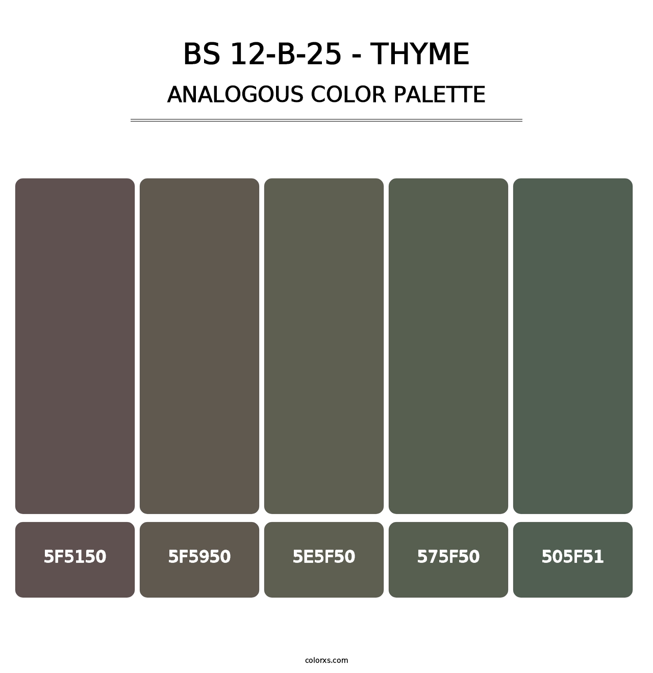 BS 12-B-25 - Thyme - Analogous Color Palette