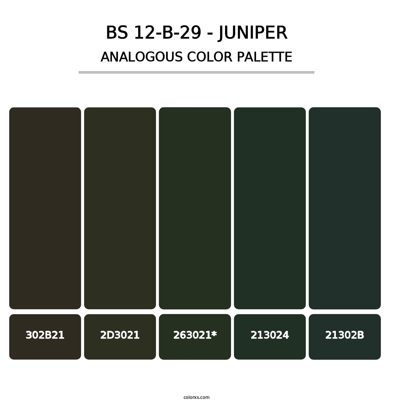 BS 12-B-29 - Juniper - Analogous Color Palette