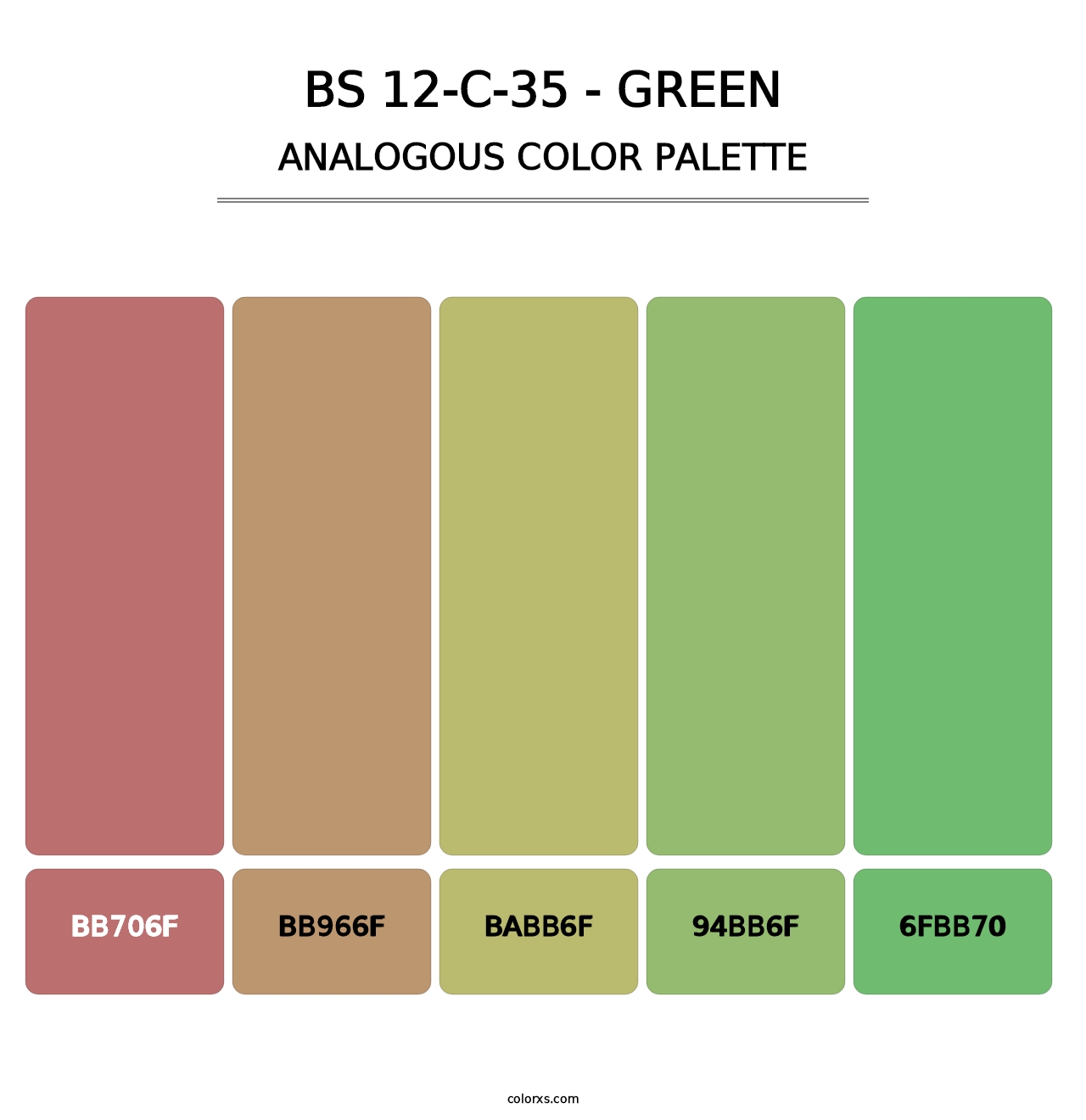 BS 12-C-35 - Green - Analogous Color Palette