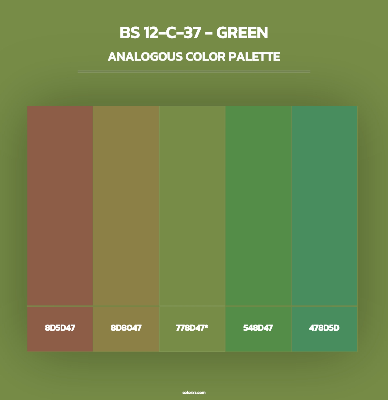 BS 12-C-37 - Green - Analogous Color Palette