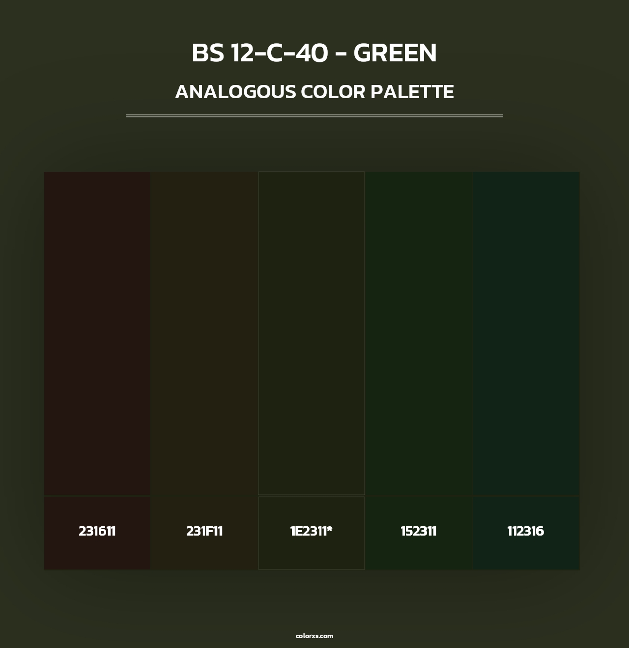 BS 12-C-40 - Green - Analogous Color Palette