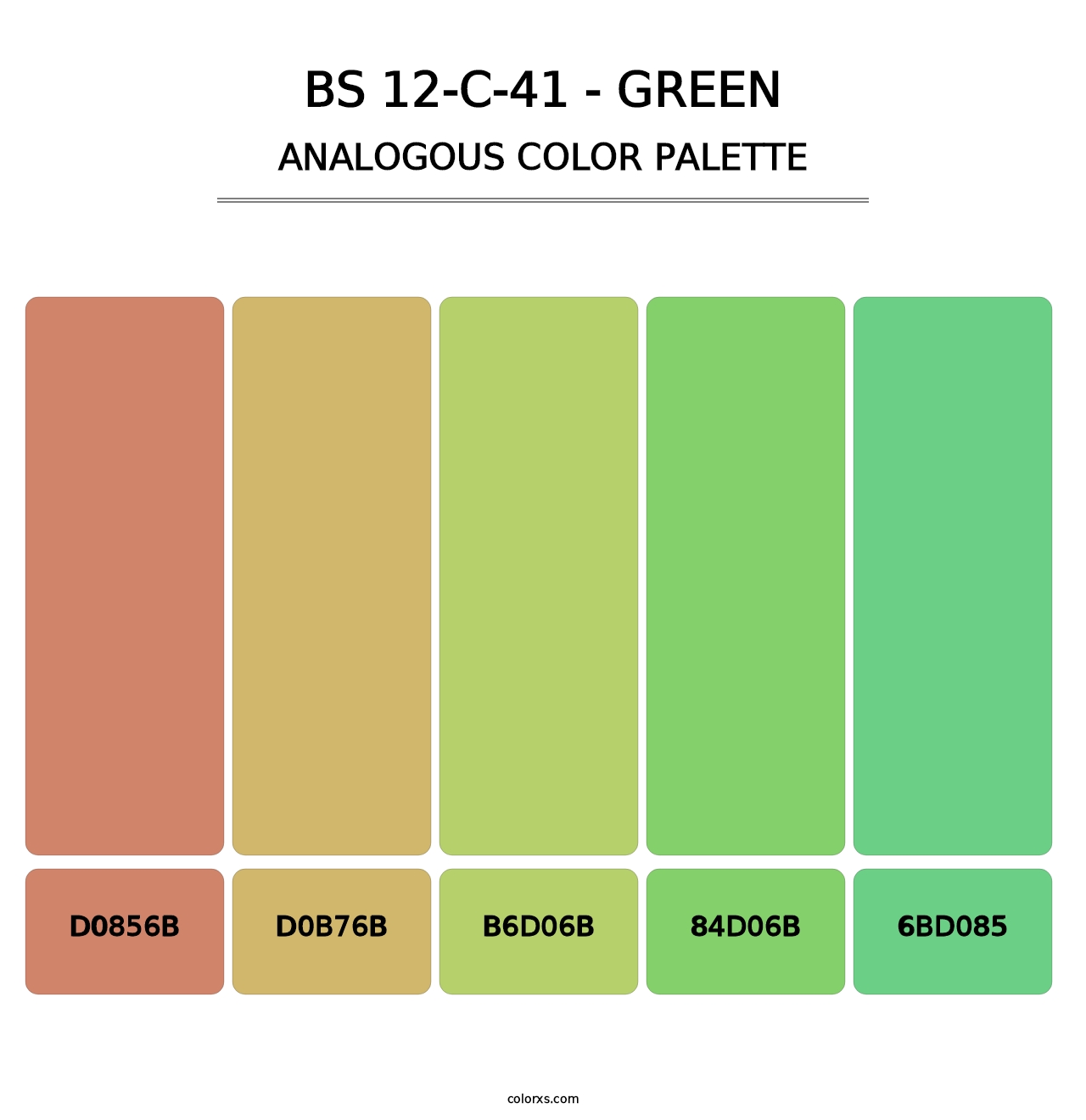 BS 12-C-41 - Green - Analogous Color Palette