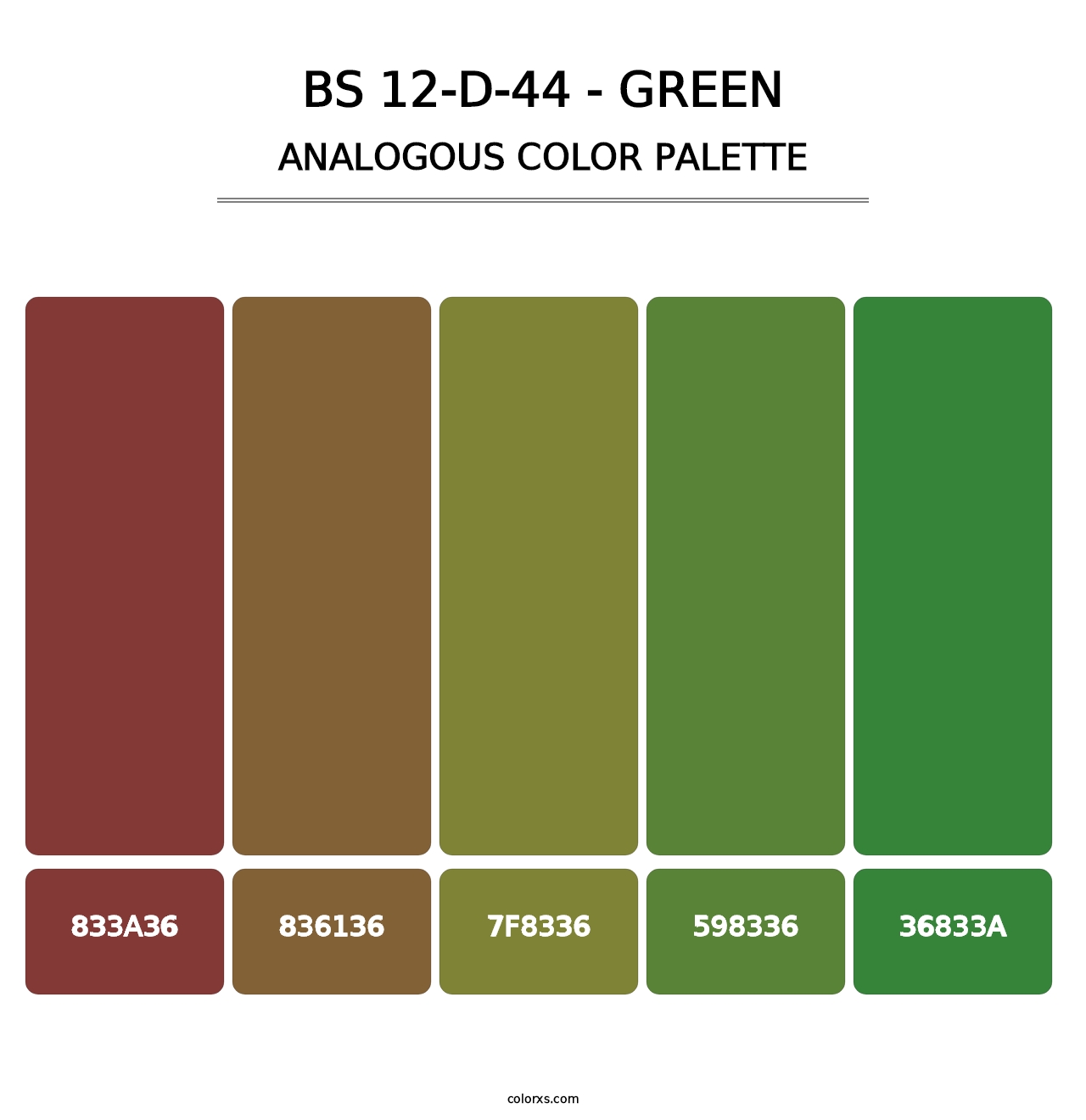 BS 12-D-44 - Green - Analogous Color Palette