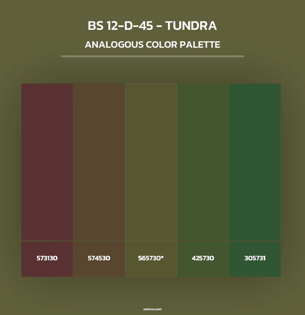 BS 12-D-45 - Tundra - Analogous Color Palette