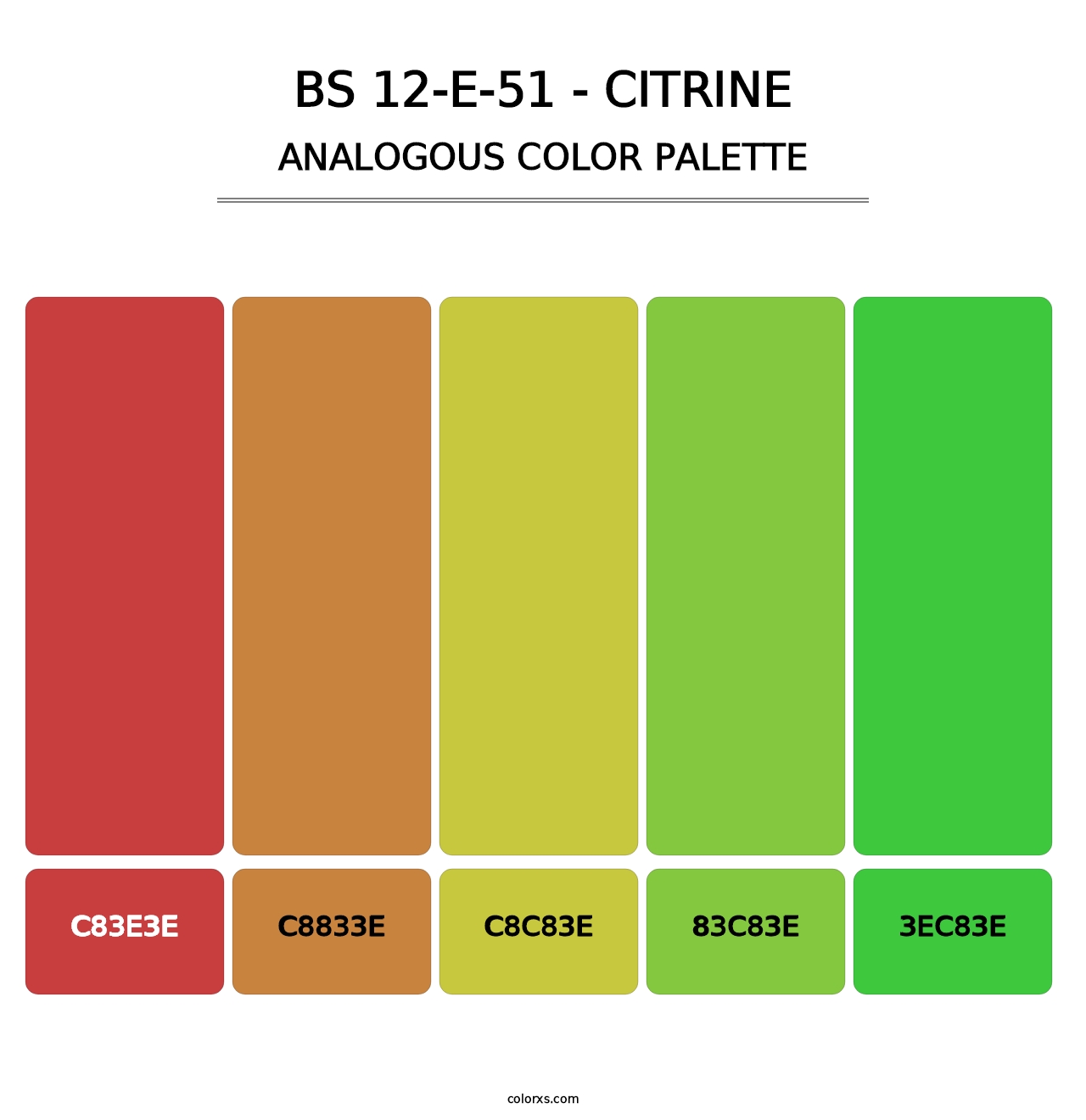 BS 12-E-51 - Citrine - Analogous Color Palette