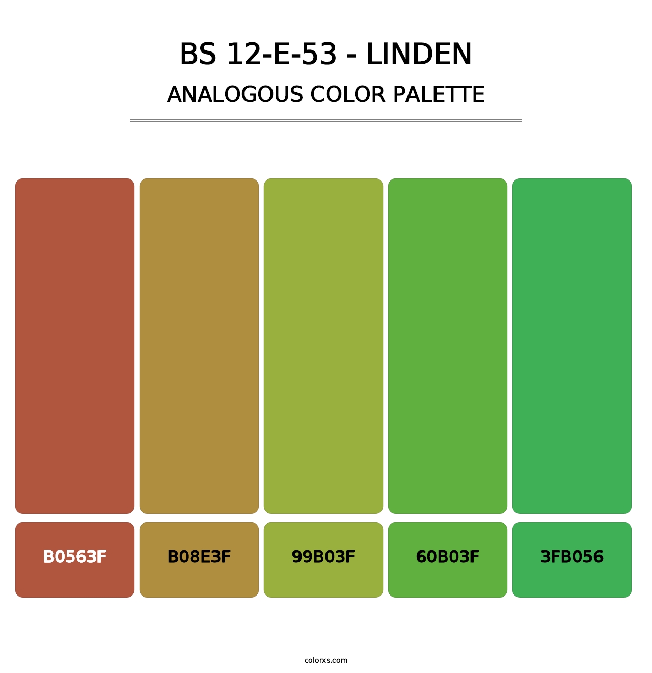 BS 12-E-53 - Linden - Analogous Color Palette