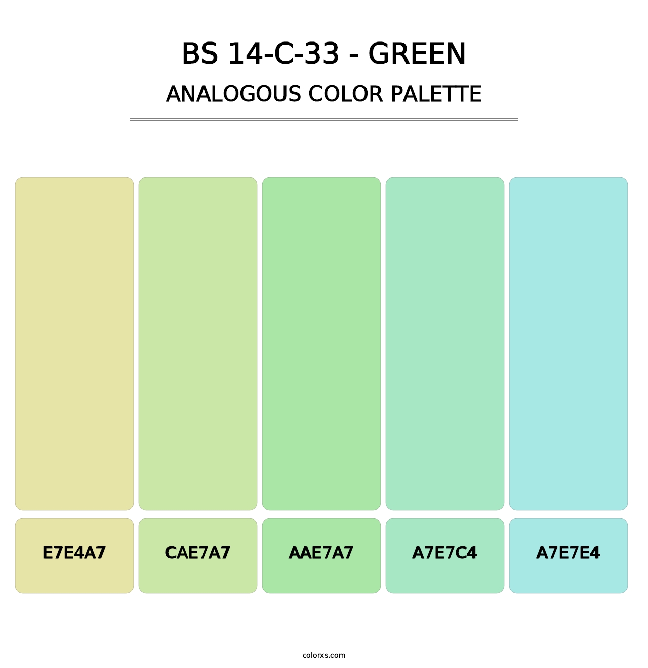 BS 14-C-33 - Green - Analogous Color Palette