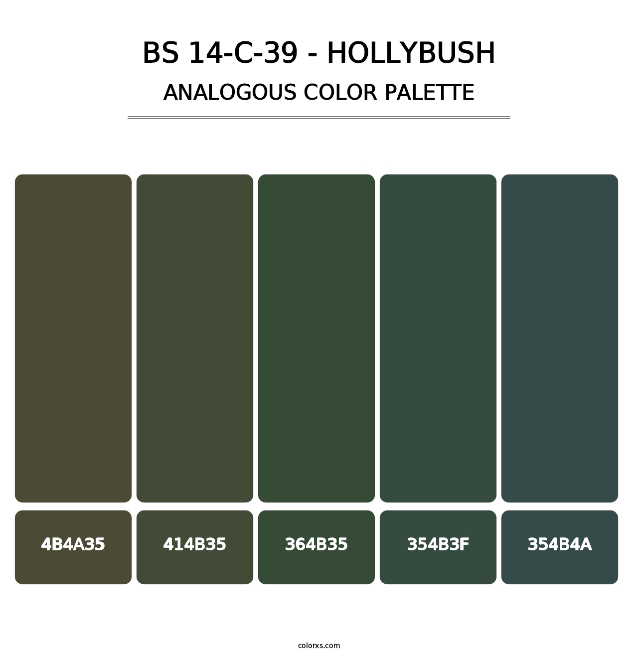 BS 14-C-39 - Hollybush - Analogous Color Palette