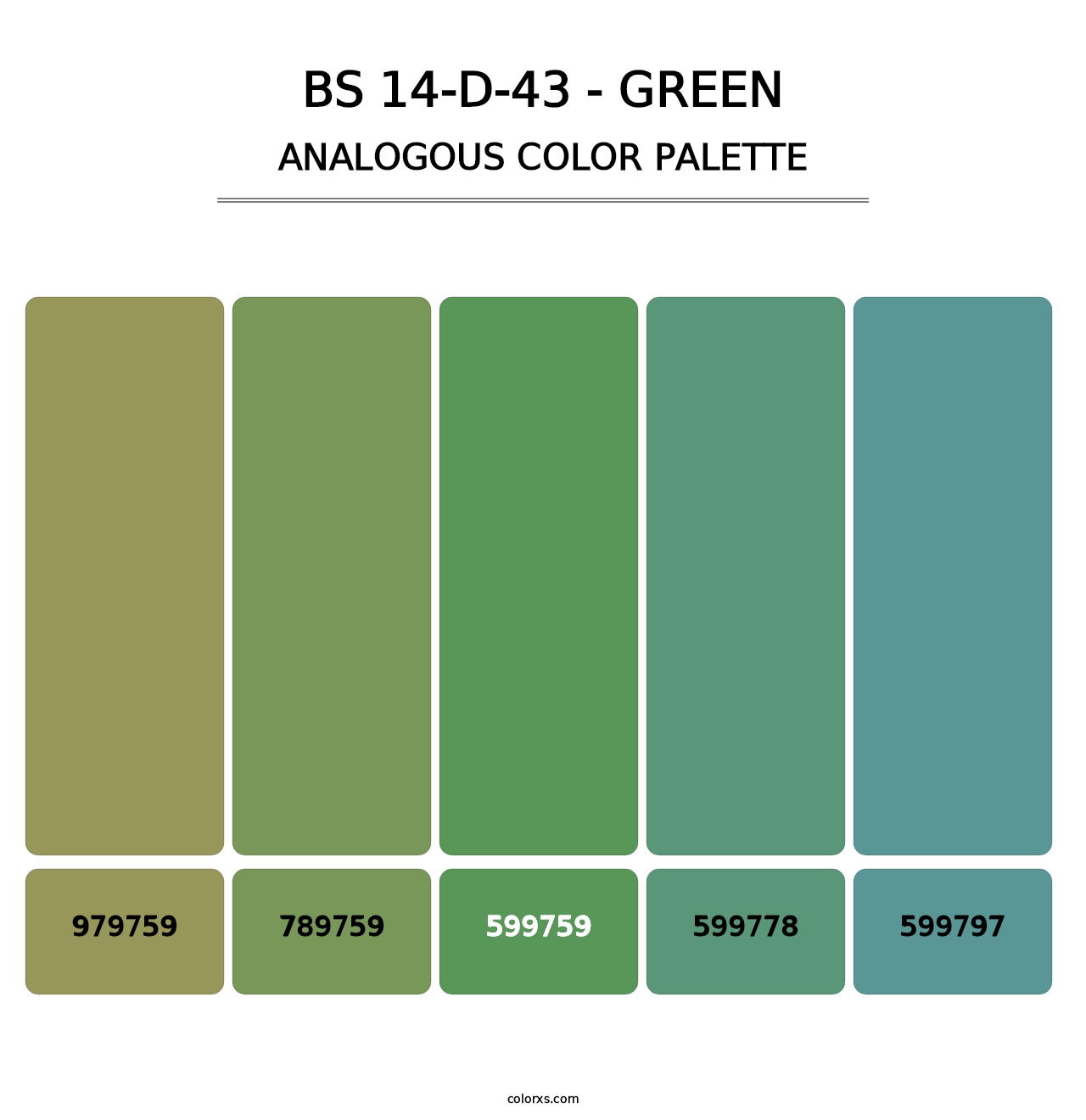 BS 14-D-43 - Green - Analogous Color Palette