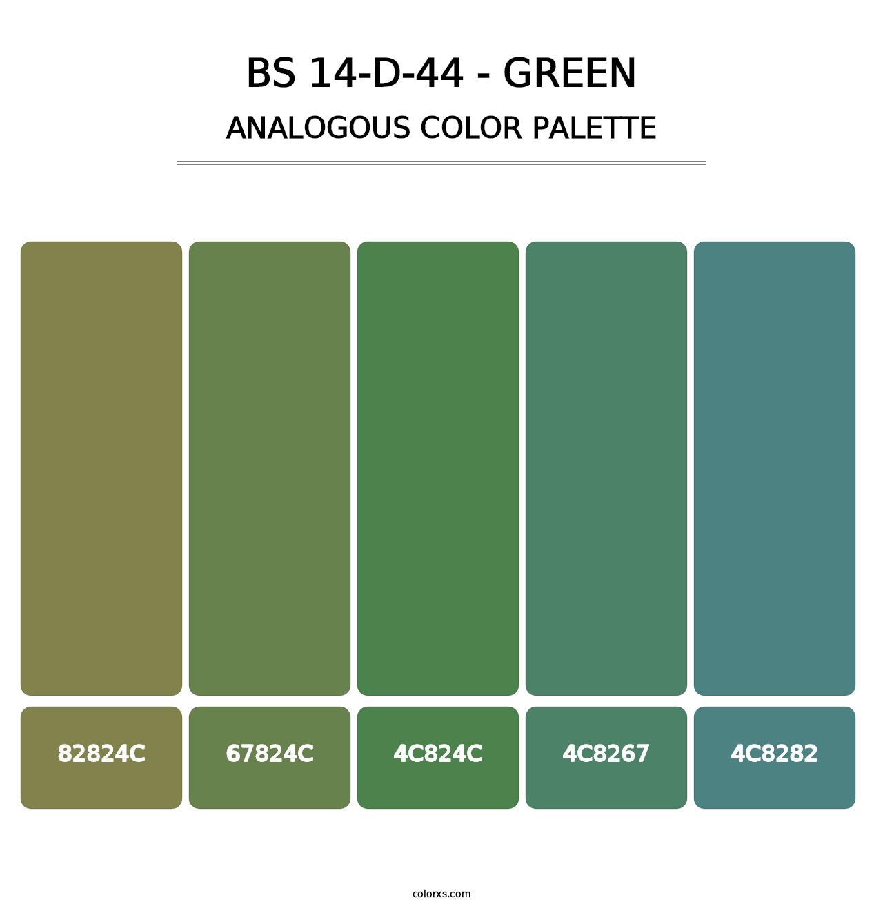 BS 14-D-44 - Green - Analogous Color Palette