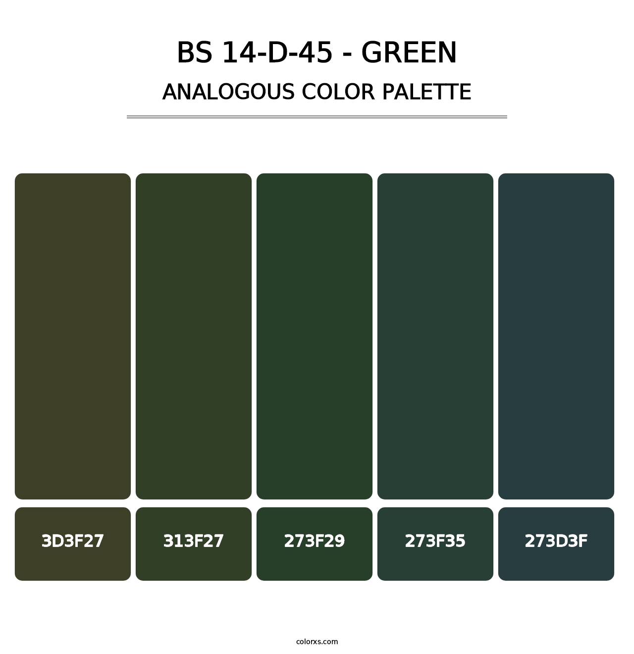 BS 14-D-45 - Green - Analogous Color Palette