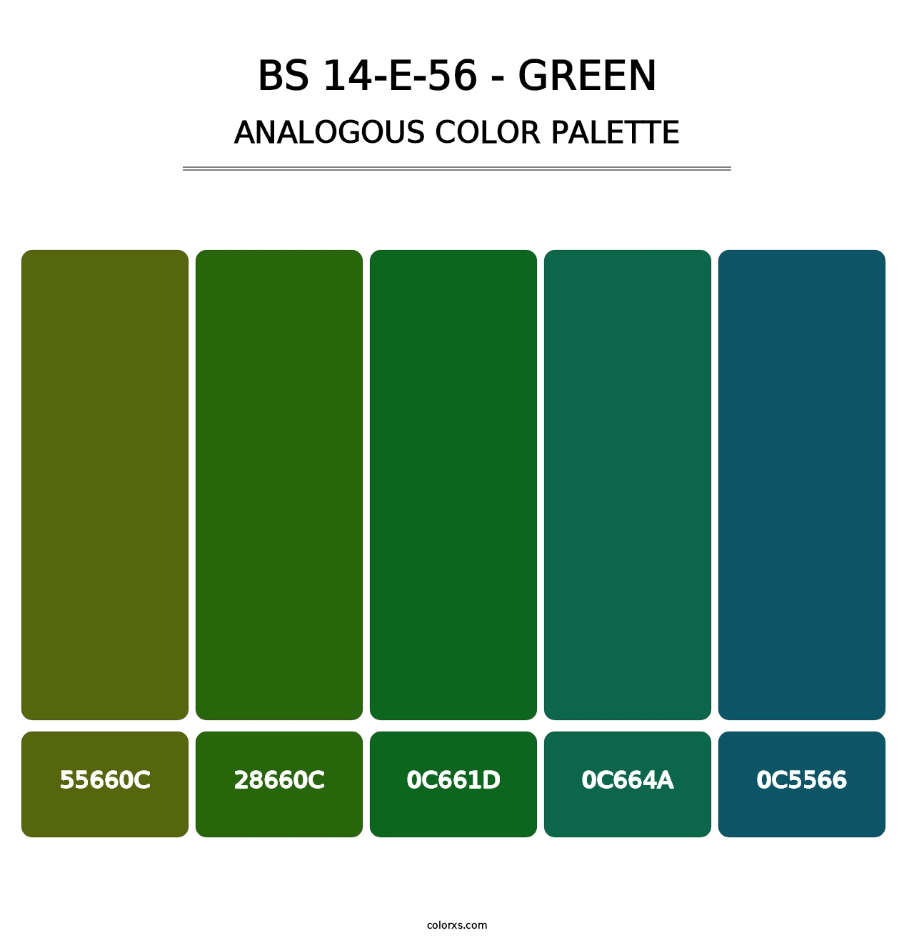 BS 14-E-56 - Green - Analogous Color Palette