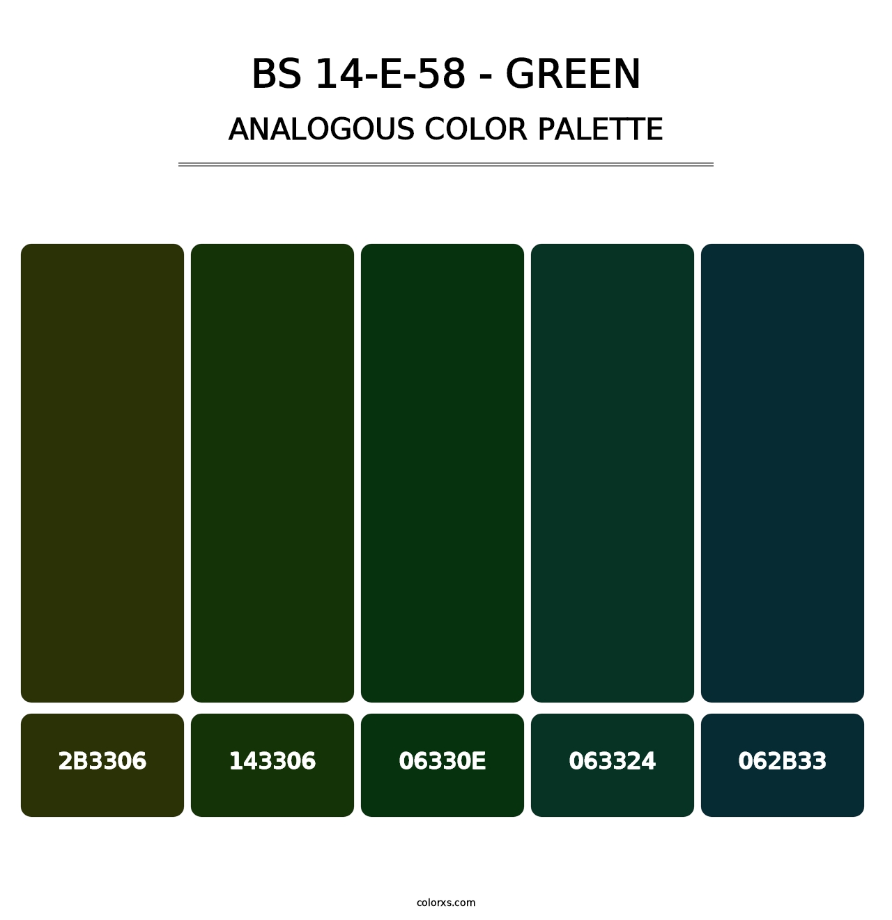 BS 14-E-58 - Green - Analogous Color Palette