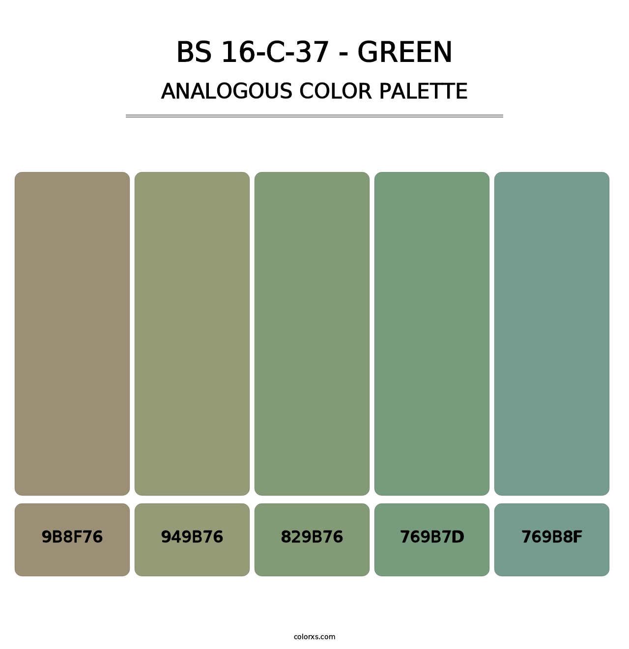 BS 16-C-37 - Green - Analogous Color Palette