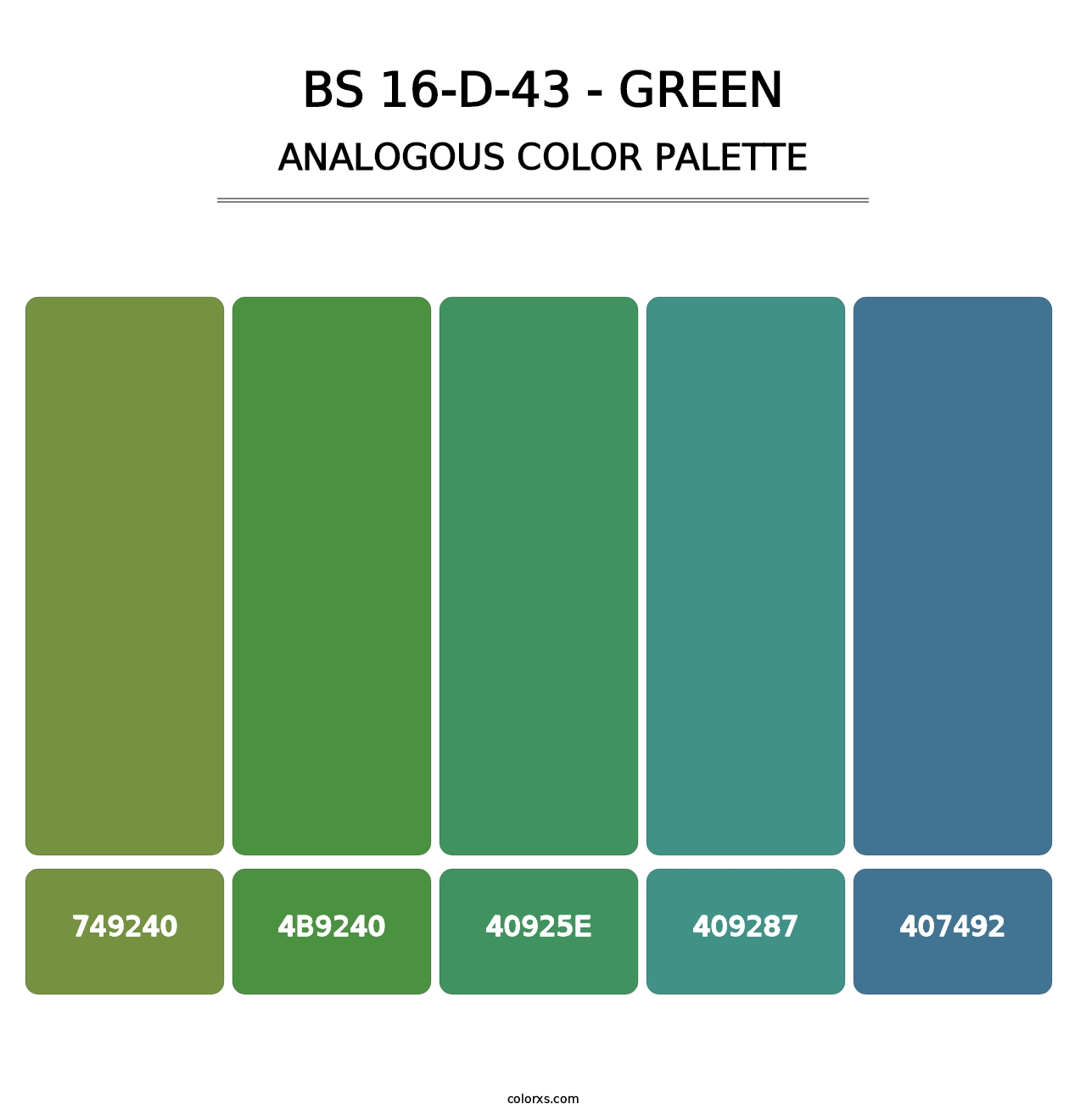 BS 16-D-43 - Green - Analogous Color Palette