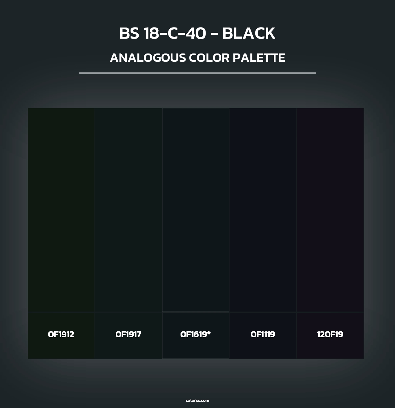 BS 18-C-40 - Black - Analogous Color Palette