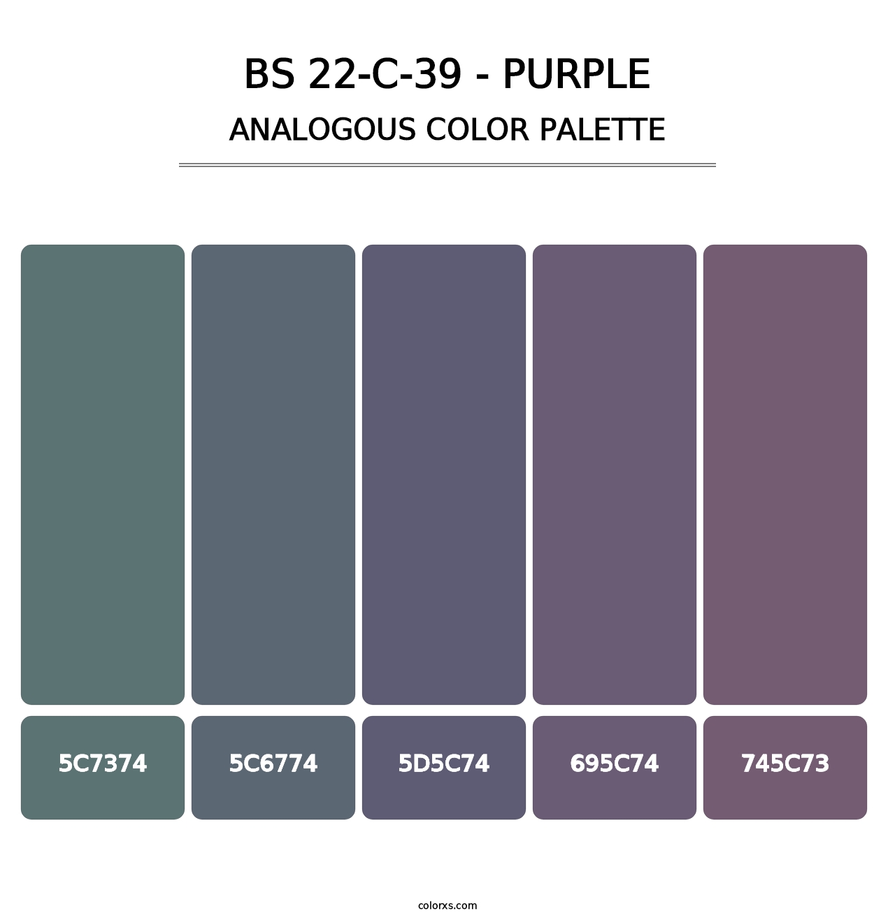 BS 22-C-39 - Purple - Analogous Color Palette