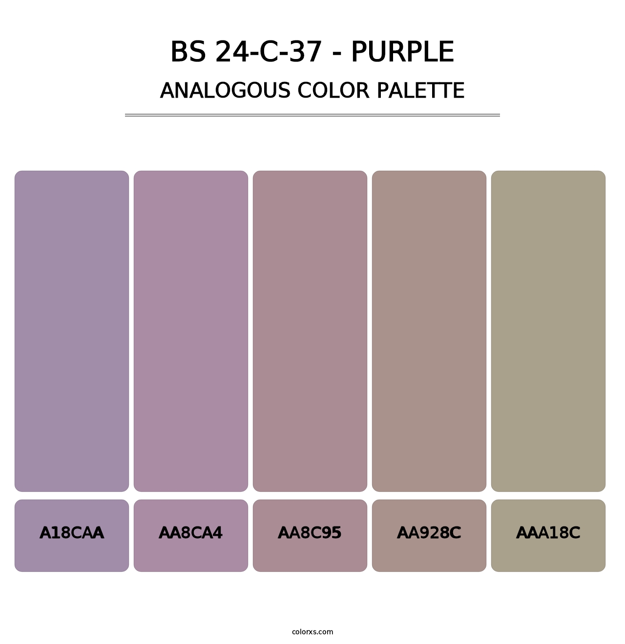 BS 24-C-37 - Purple - Analogous Color Palette