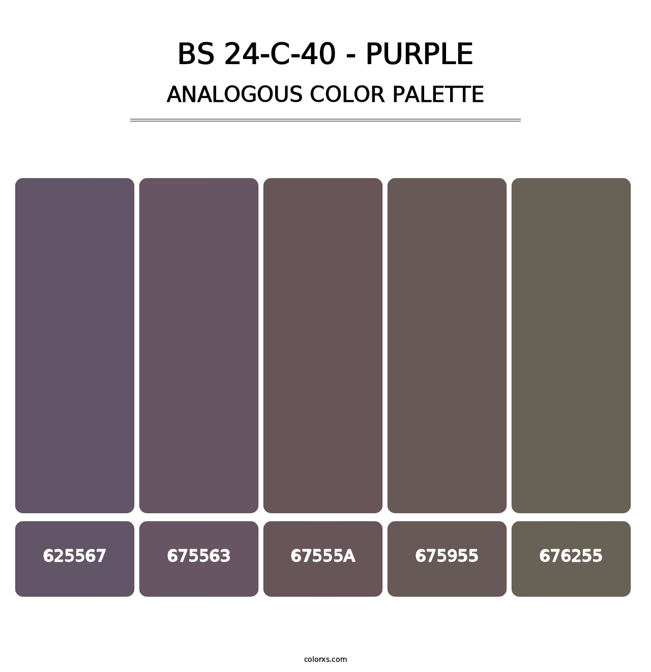 BS 24-C-40 - Purple - Analogous Color Palette