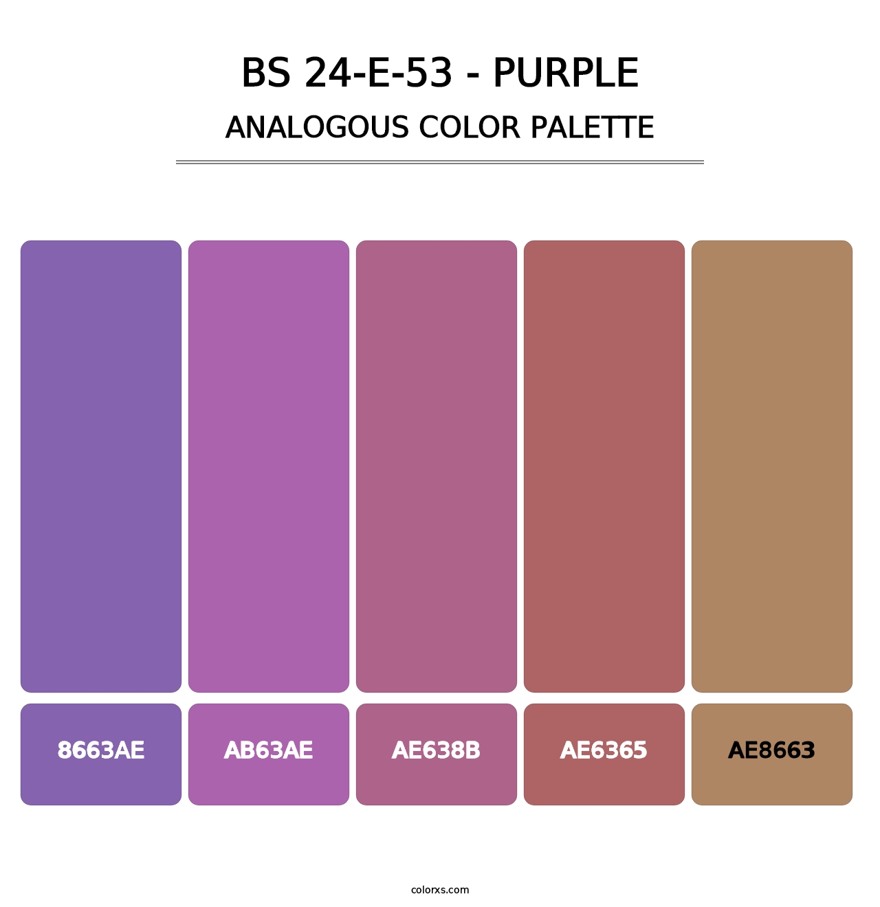 BS 24-E-53 - Purple - Analogous Color Palette