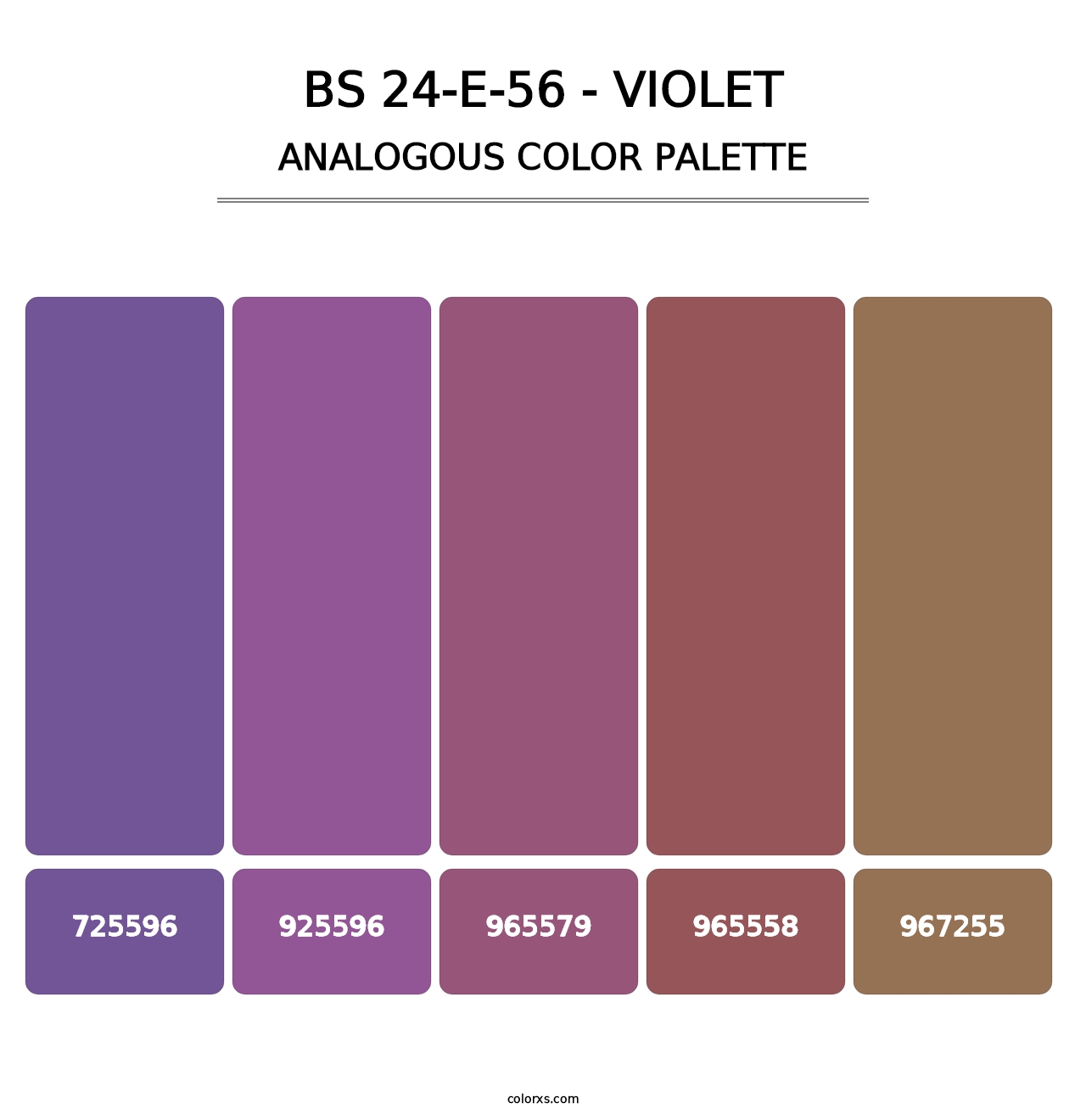 BS 24-E-56 - Violet - Analogous Color Palette