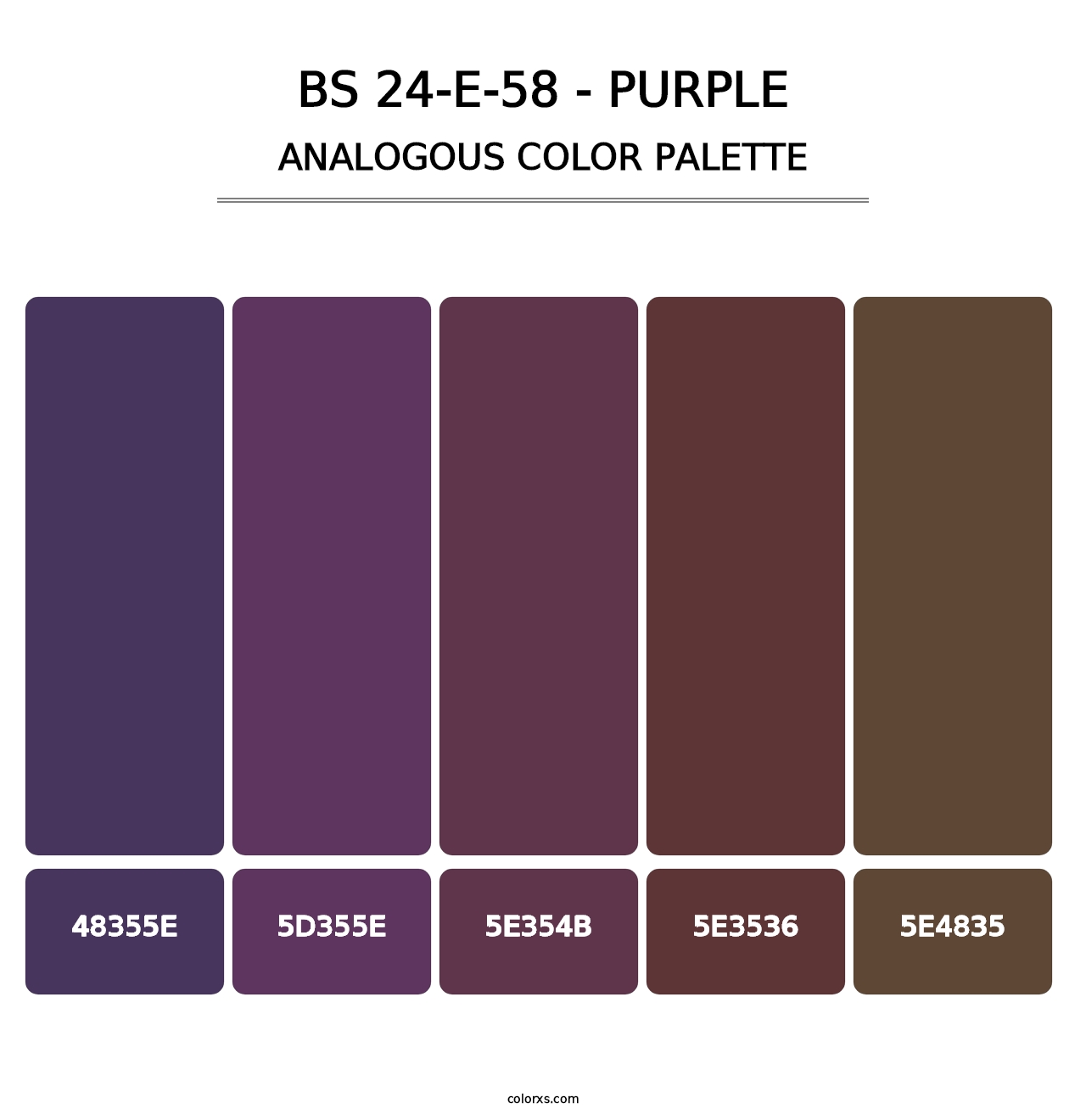 BS 24-E-58 - Purple - Analogous Color Palette