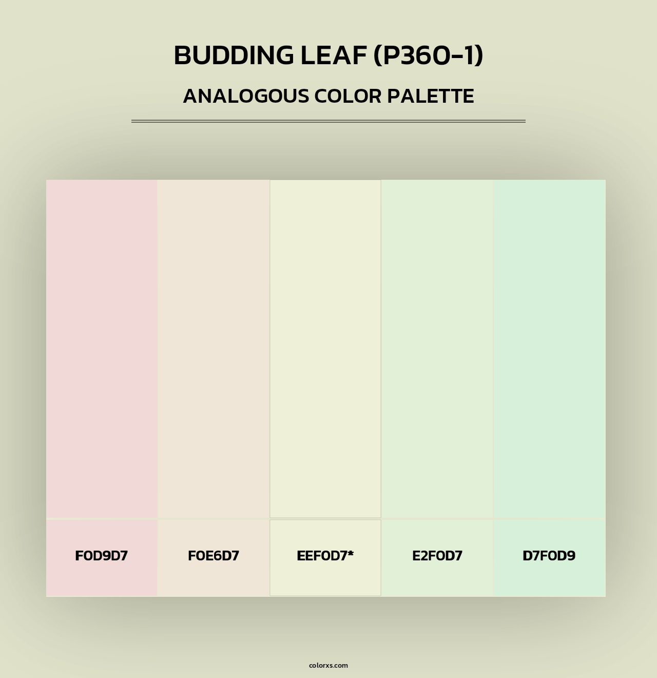 Budding Leaf (P360-1) - Analogous Color Palette