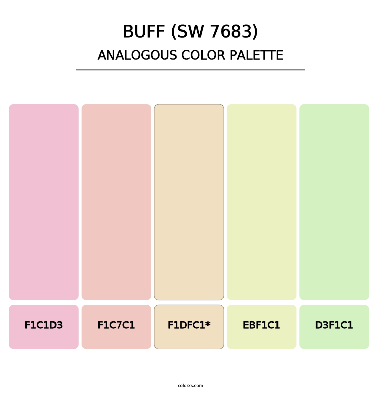 Buff (SW 7683) - Analogous Color Palette