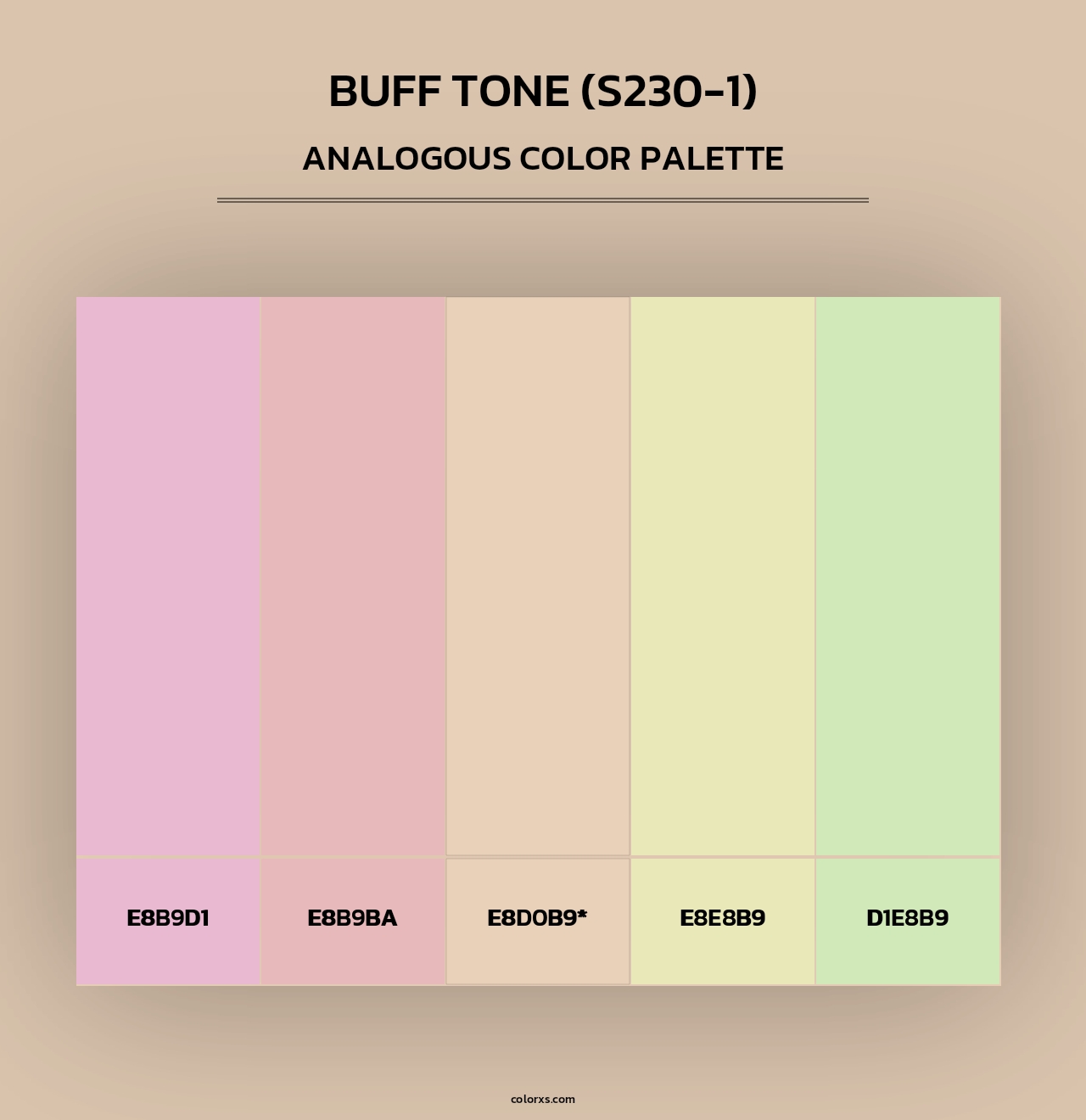 Buff Tone (S230-1) - Analogous Color Palette