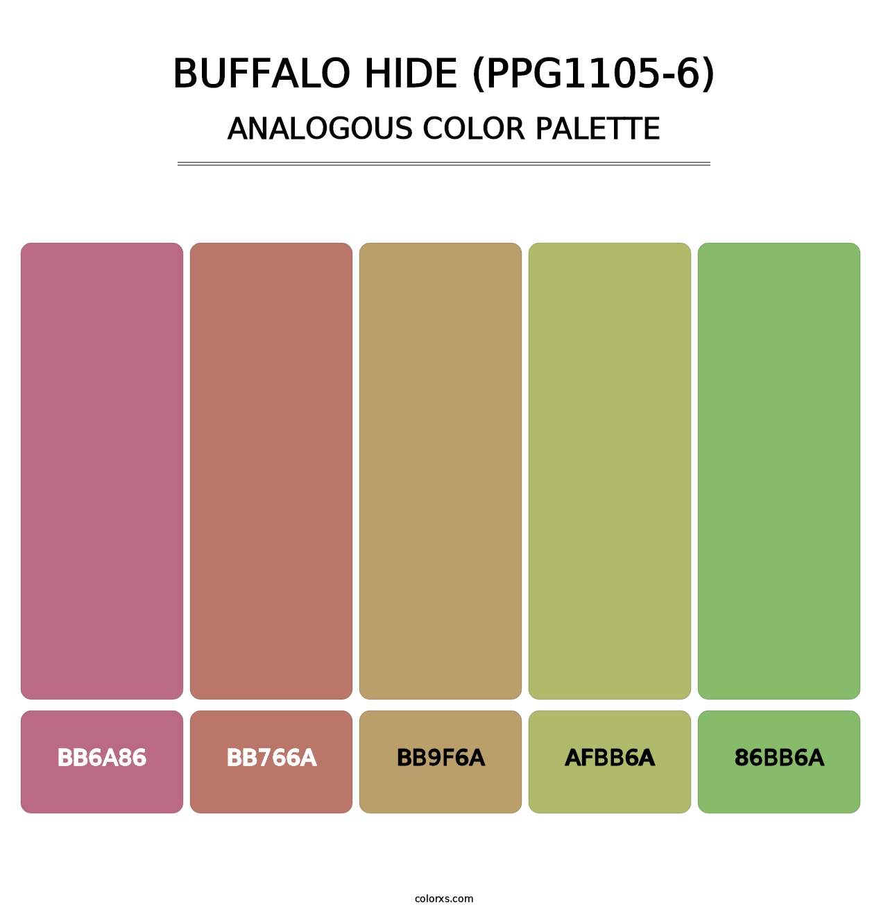 Buffalo Hide (PPG1105-6) - Analogous Color Palette