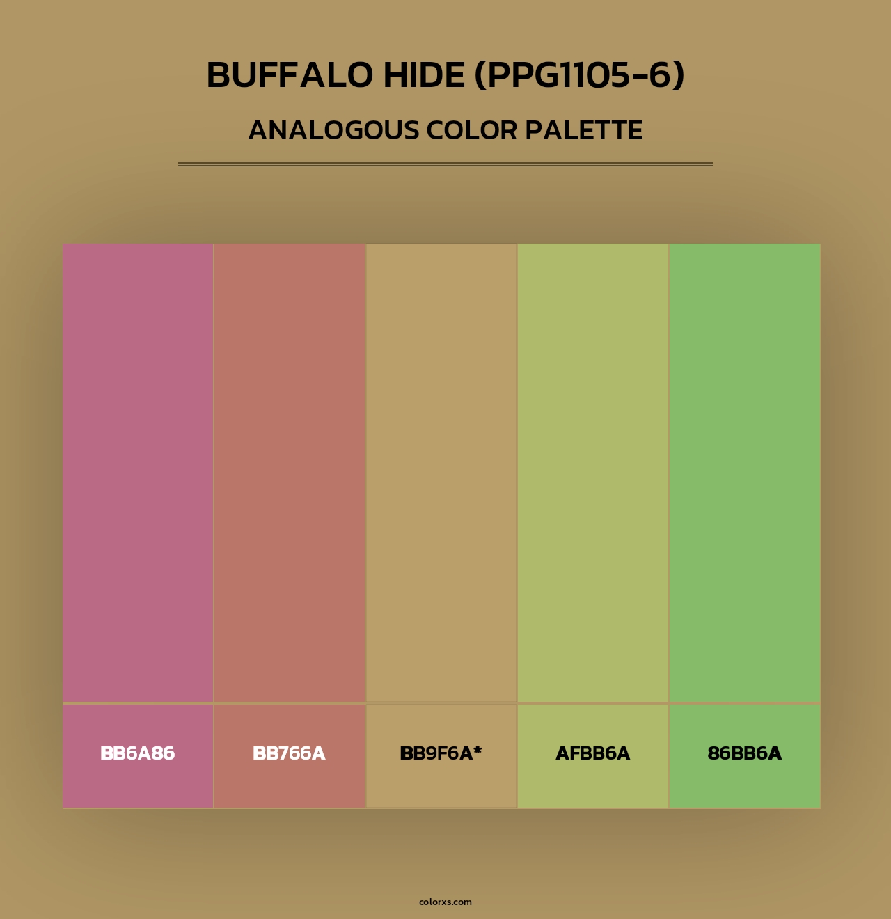 Buffalo Hide (PPG1105-6) - Analogous Color Palette