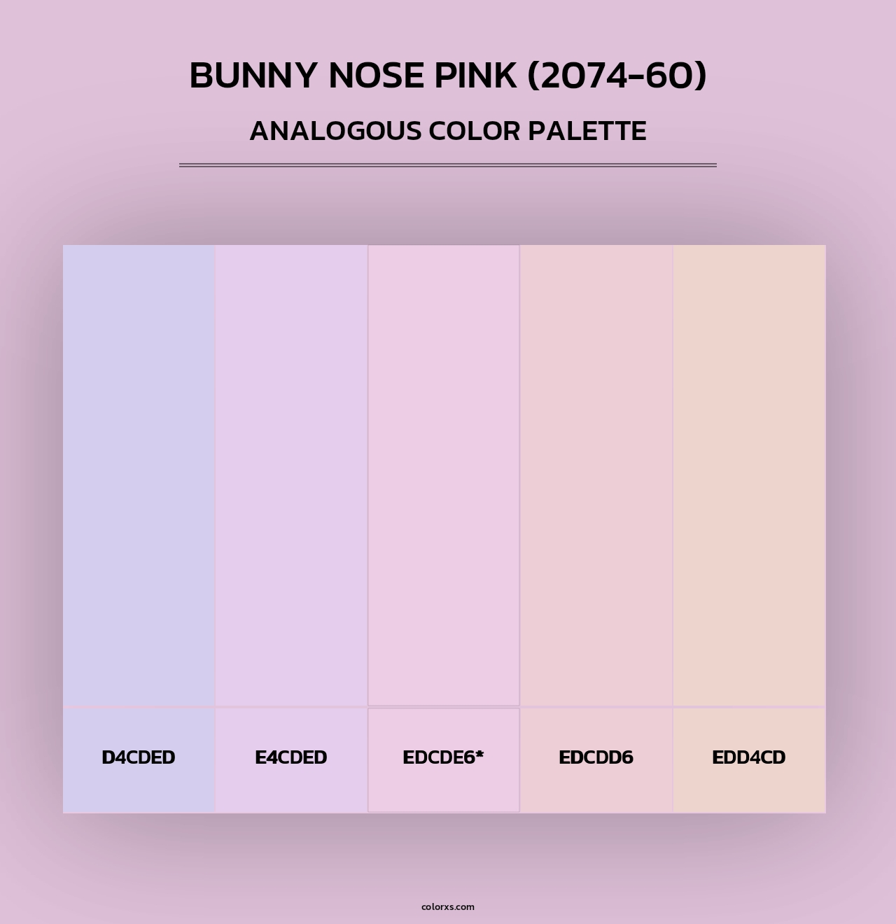 Bunny Nose Pink (2074-60) - Analogous Color Palette