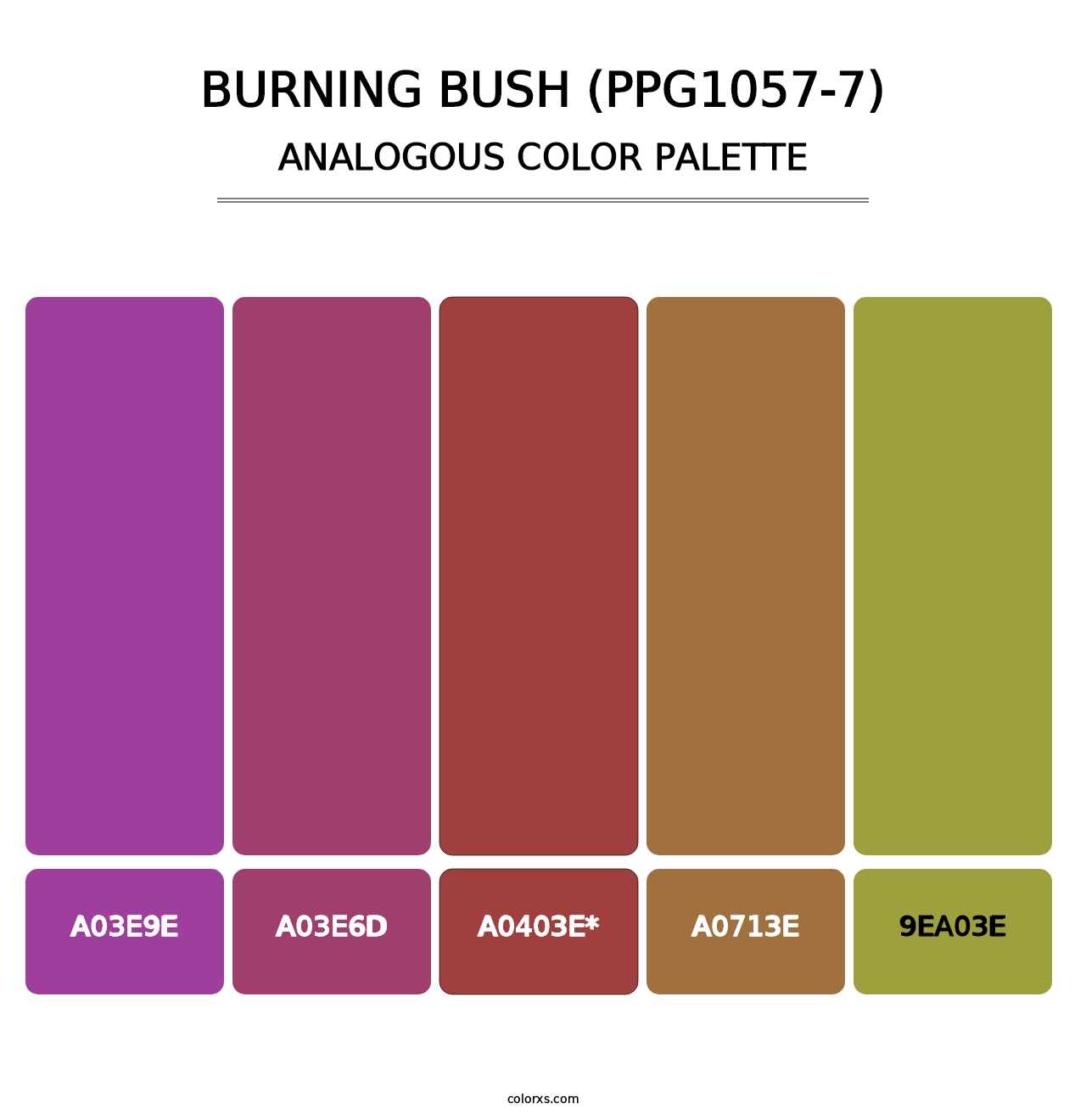 Burning Bush (PPG1057-7) - Analogous Color Palette
