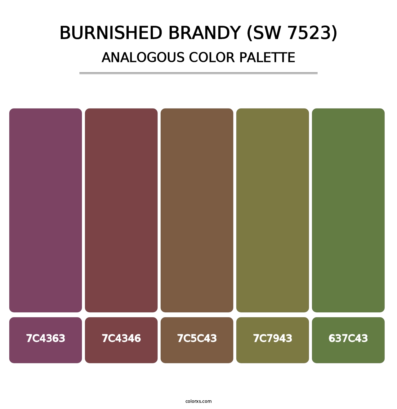 Burnished Brandy (SW 7523) - Analogous Color Palette