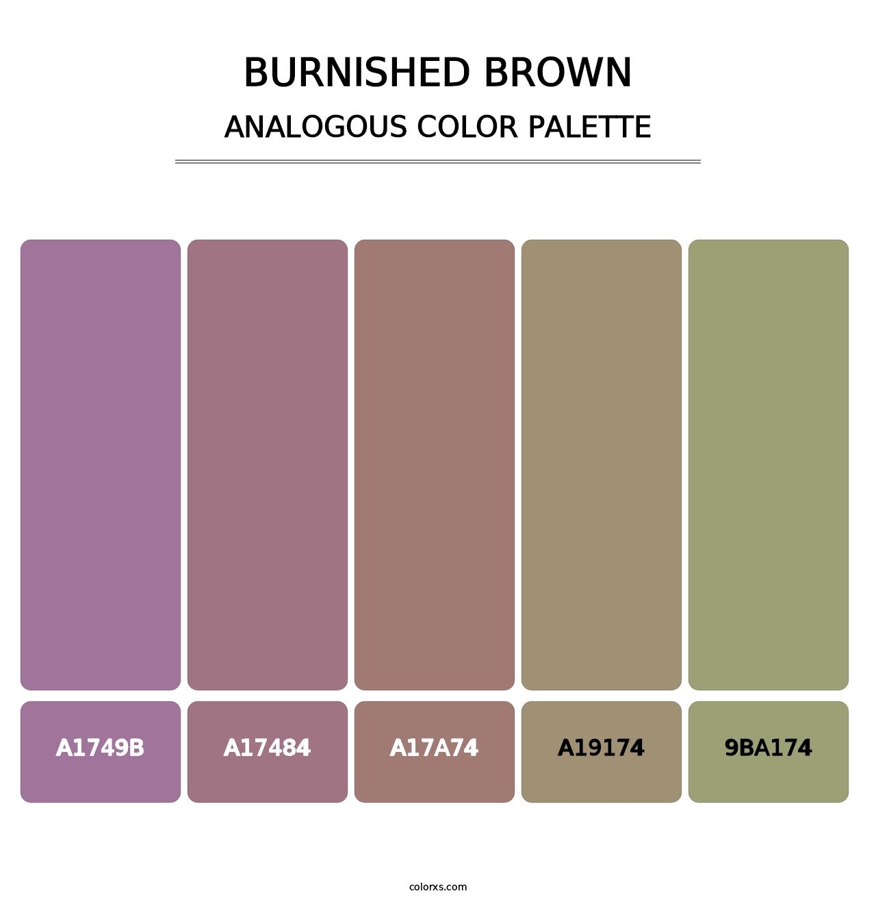 Burnished Brown - Analogous Color Palette