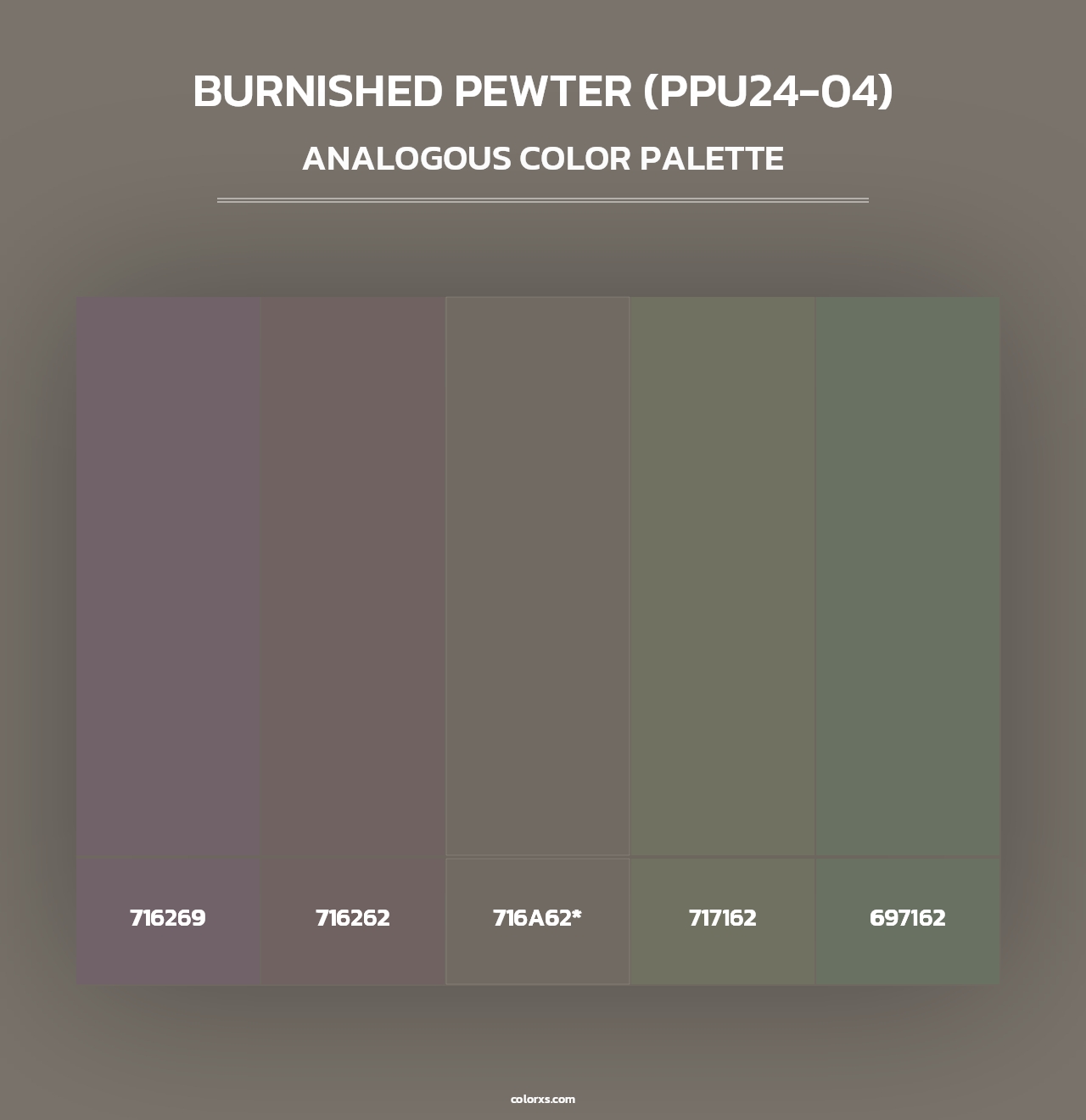 Burnished Pewter (PPU24-04) - Analogous Color Palette