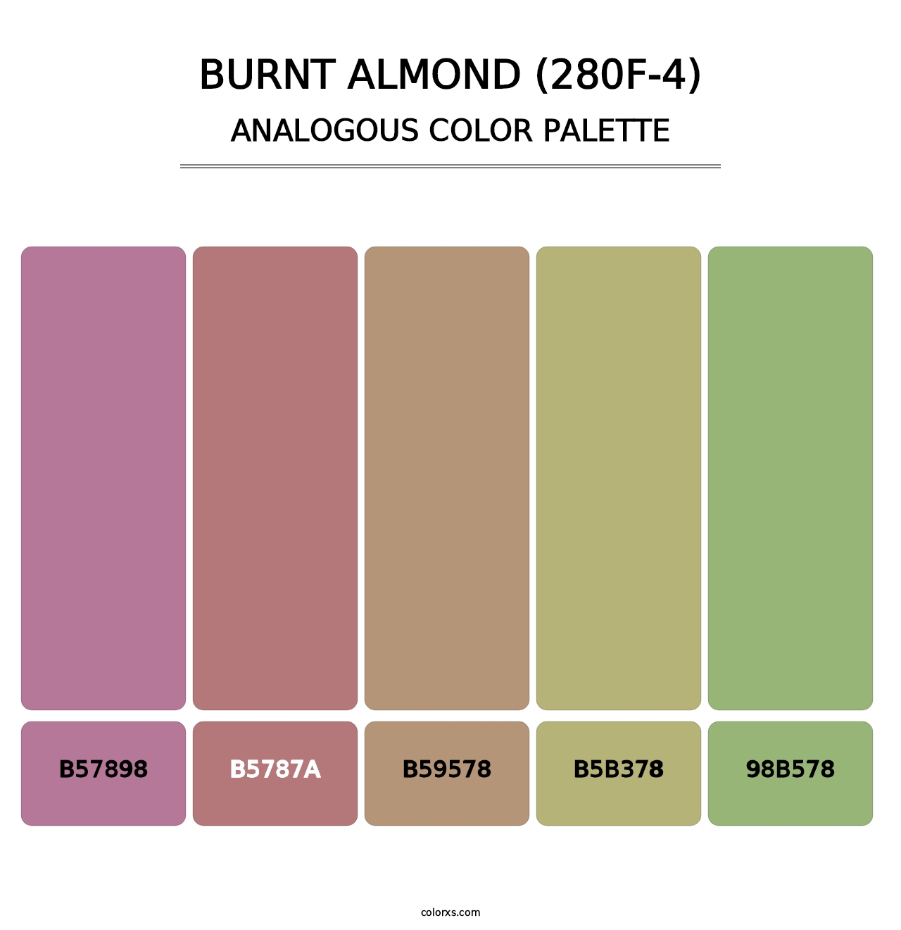 Burnt Almond (280F-4) - Analogous Color Palette