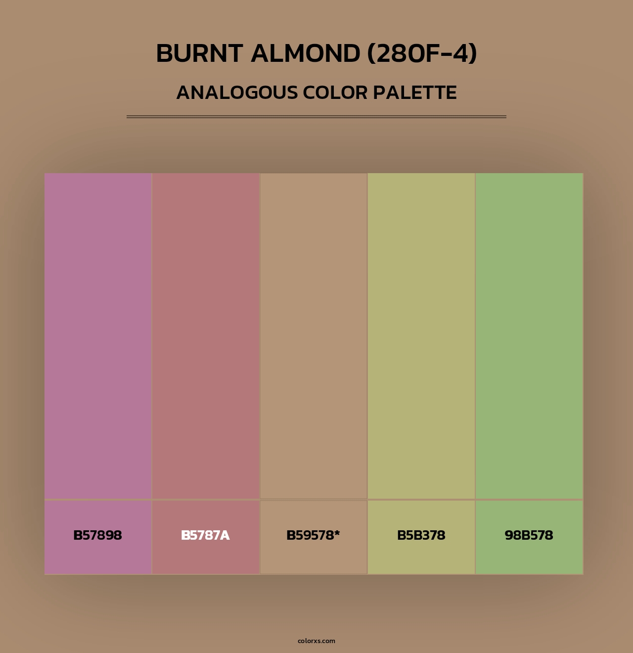 Burnt Almond (280F-4) - Analogous Color Palette