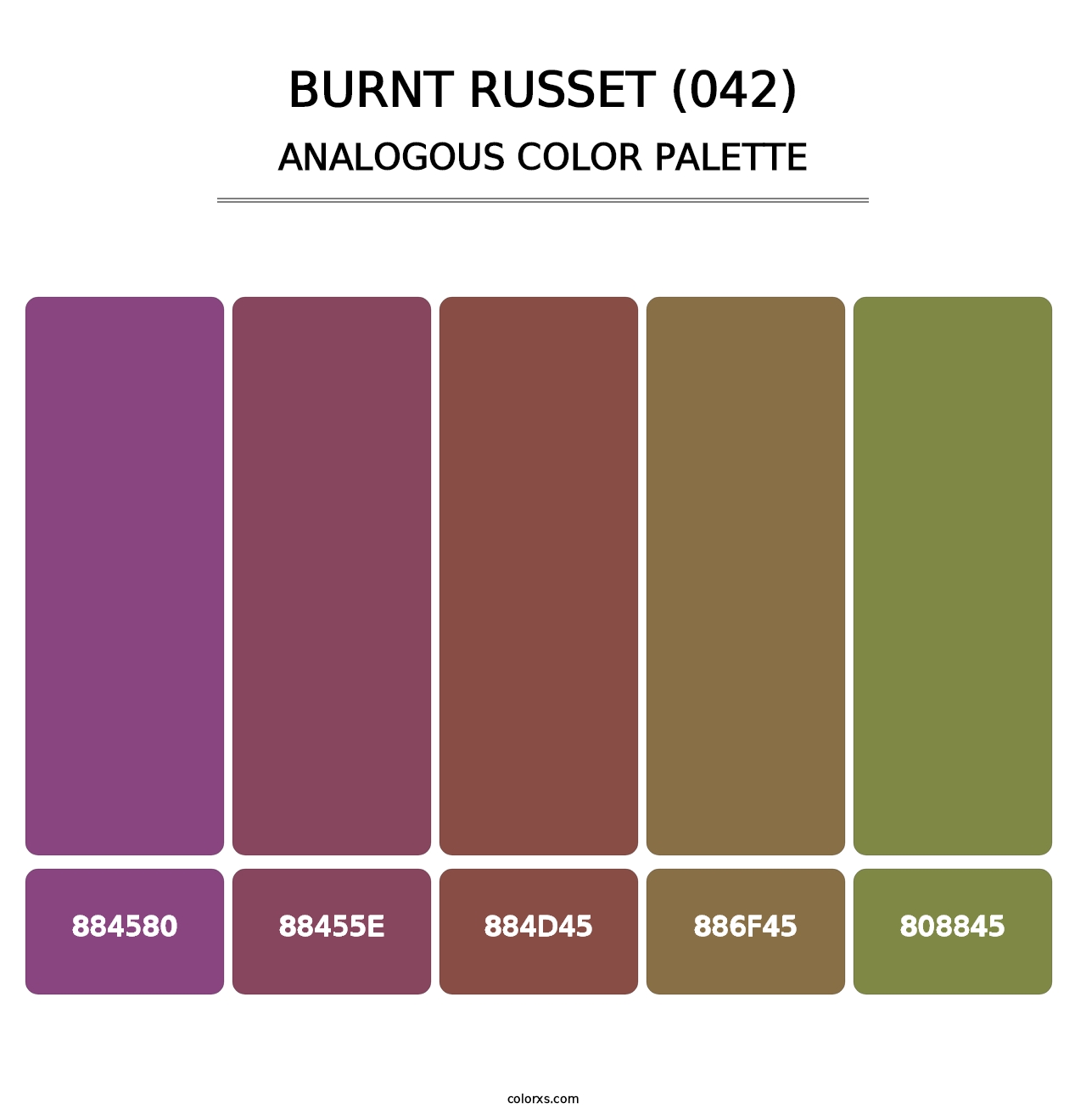 Burnt Russet (042) - Analogous Color Palette