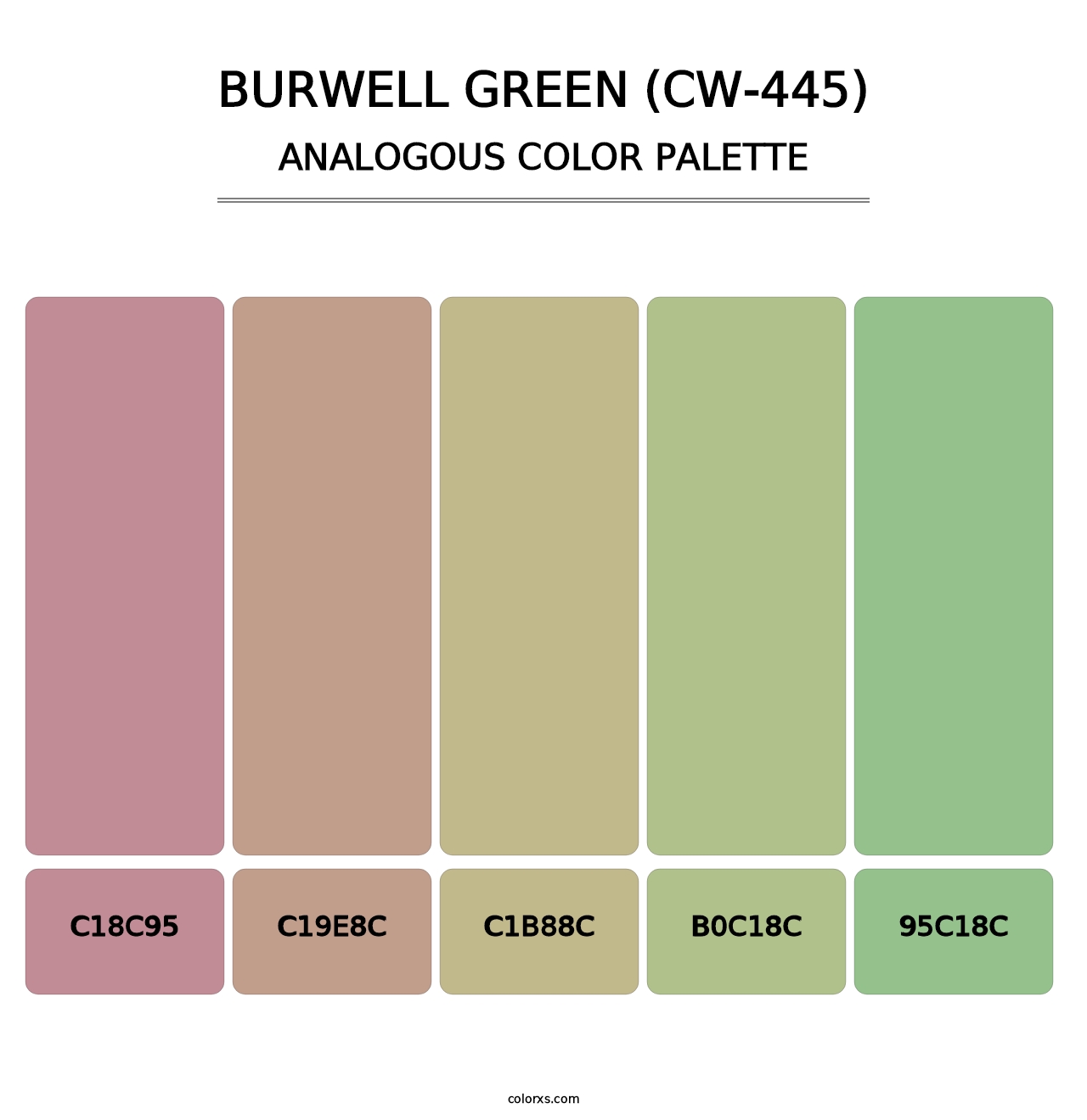 Burwell Green (CW-445) - Analogous Color Palette