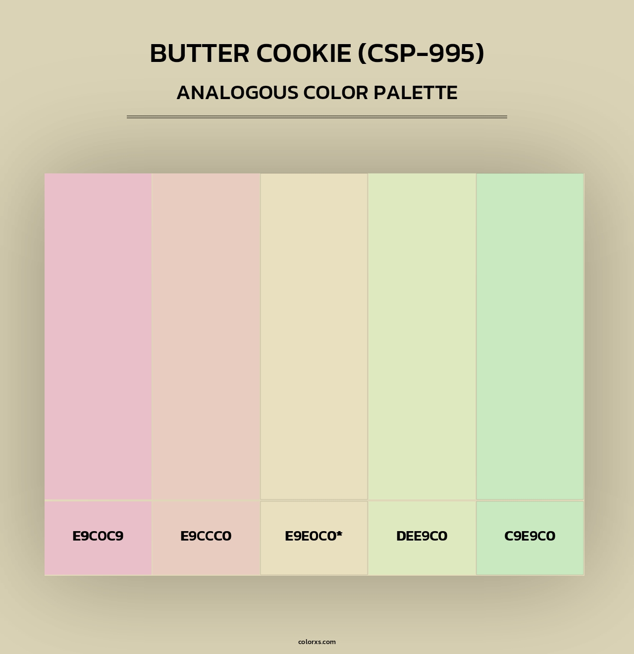 Butter Cookie (CSP-995) - Analogous Color Palette