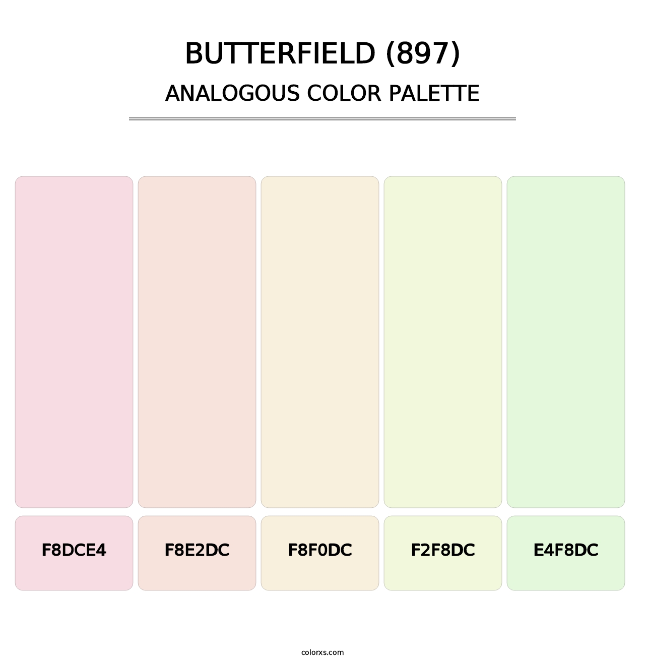 Butterfield (897) - Analogous Color Palette