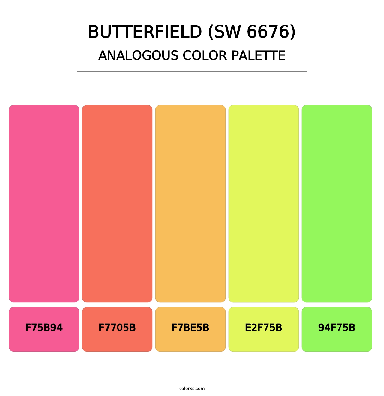 Butterfield (SW 6676) - Analogous Color Palette