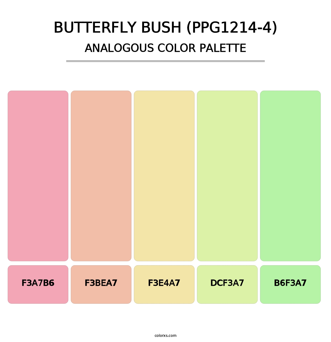Butterfly Bush (PPG1214-4) - Analogous Color Palette