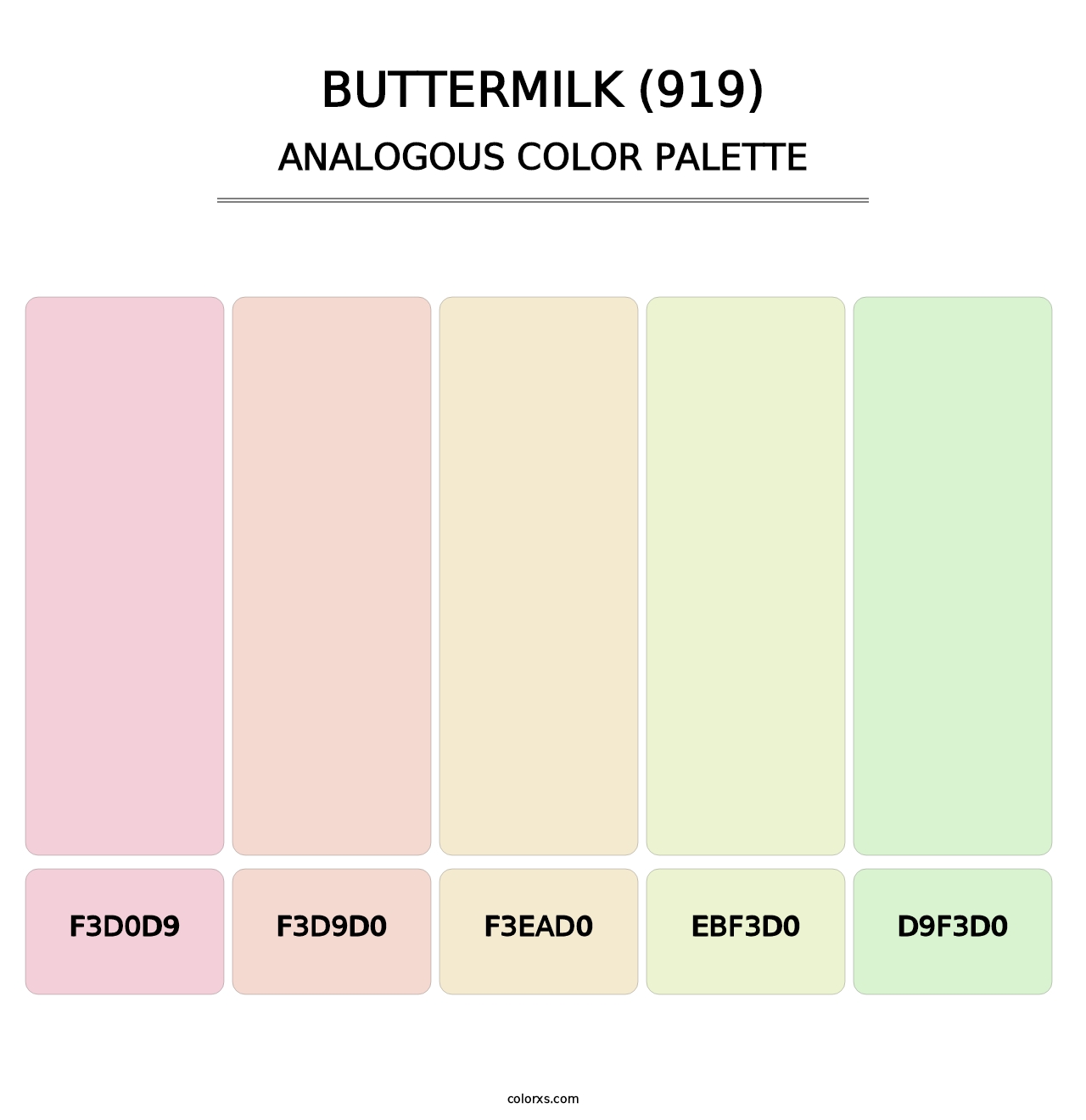Buttermilk (919) - Analogous Color Palette