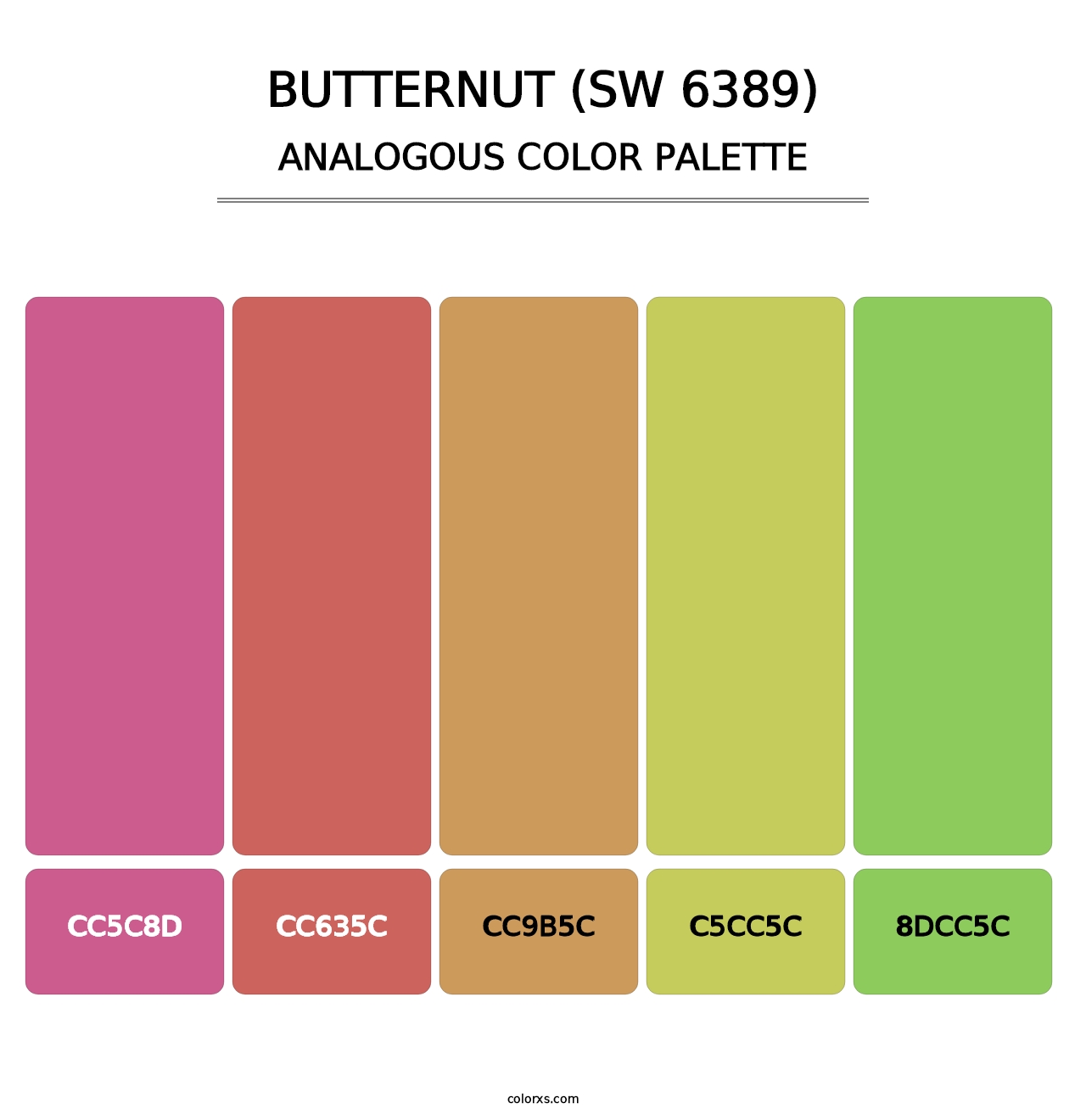 Butternut (SW 6389) - Analogous Color Palette