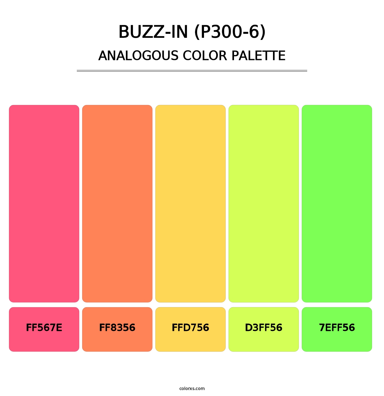 Buzz-In (P300-6) - Analogous Color Palette