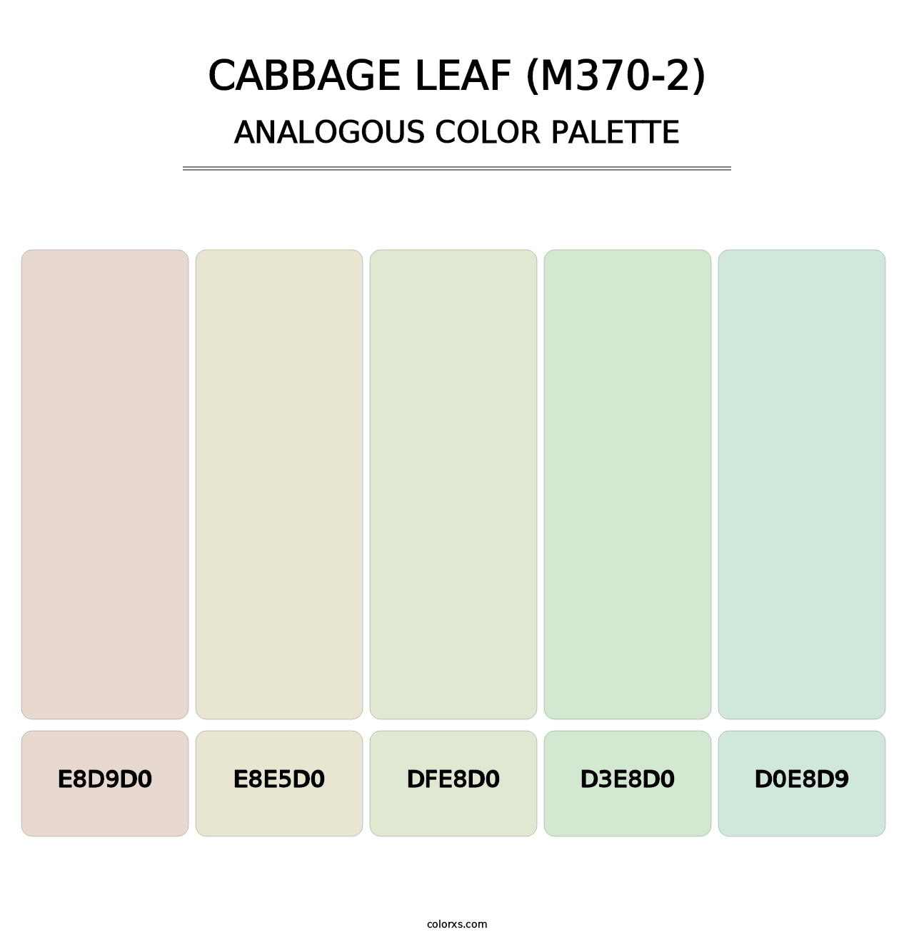 Cabbage Leaf (M370-2) - Analogous Color Palette