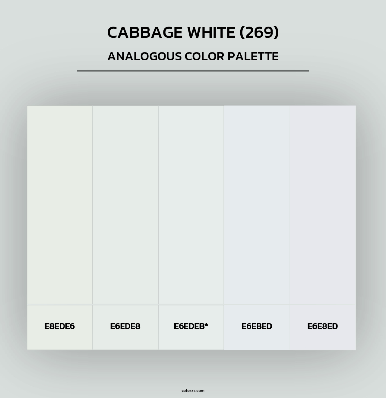 Cabbage White (269) - Analogous Color Palette