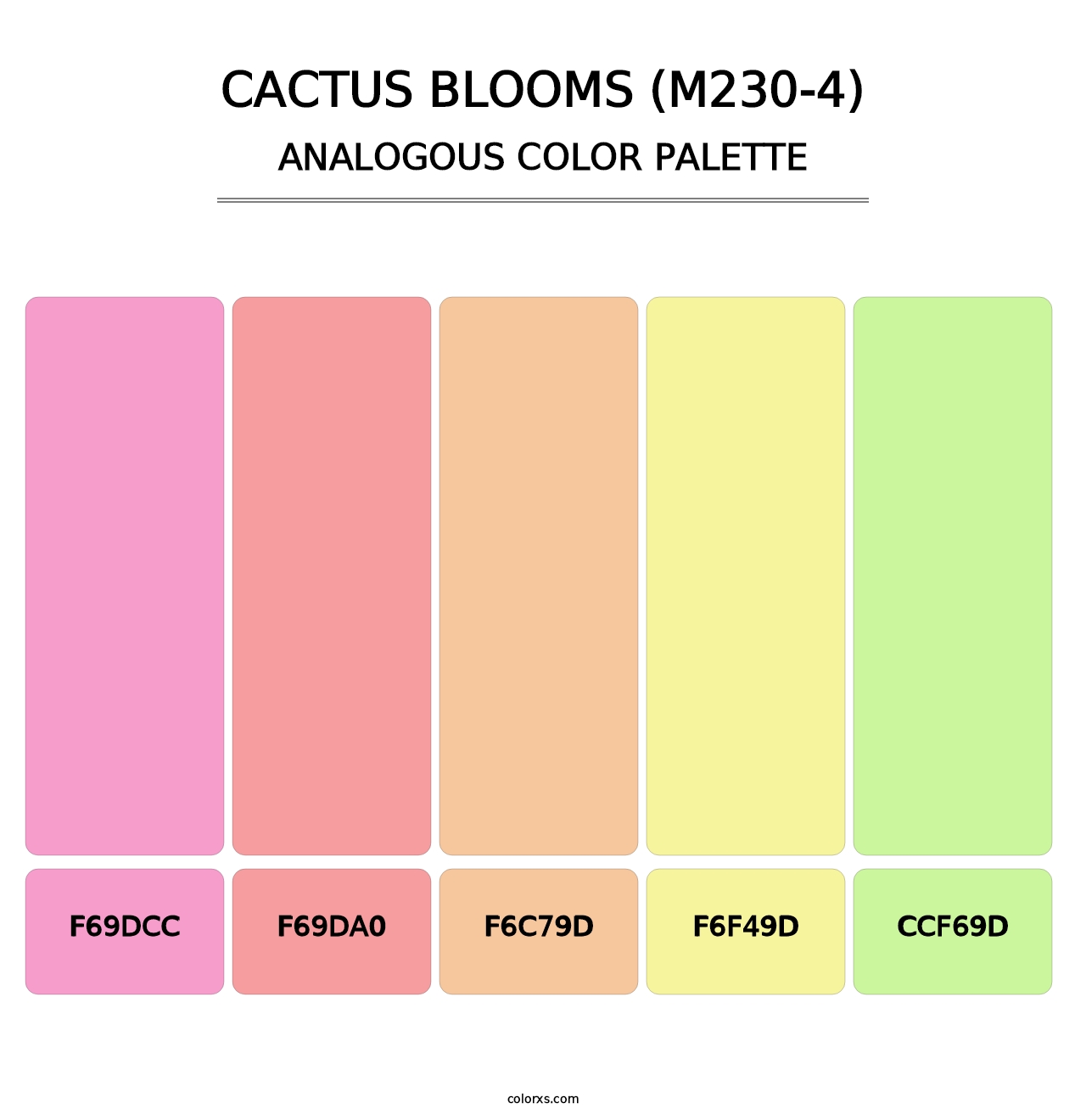 Cactus Blooms (M230-4) - Analogous Color Palette